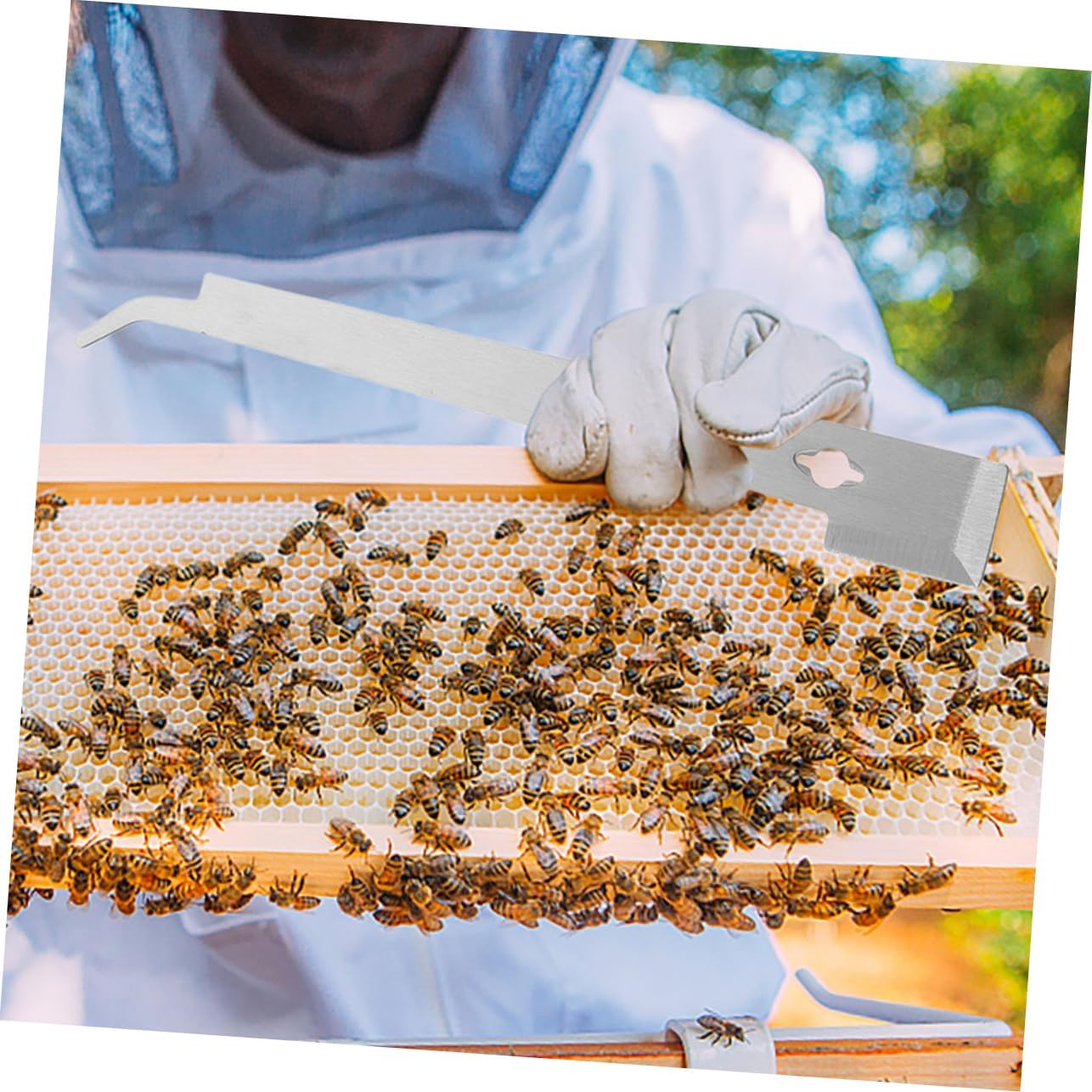 HANABASS 2Pcs Stainless Steel Beehive Scraper for Beekeeping Hive Tool Beehive Box Scrapers image number 4