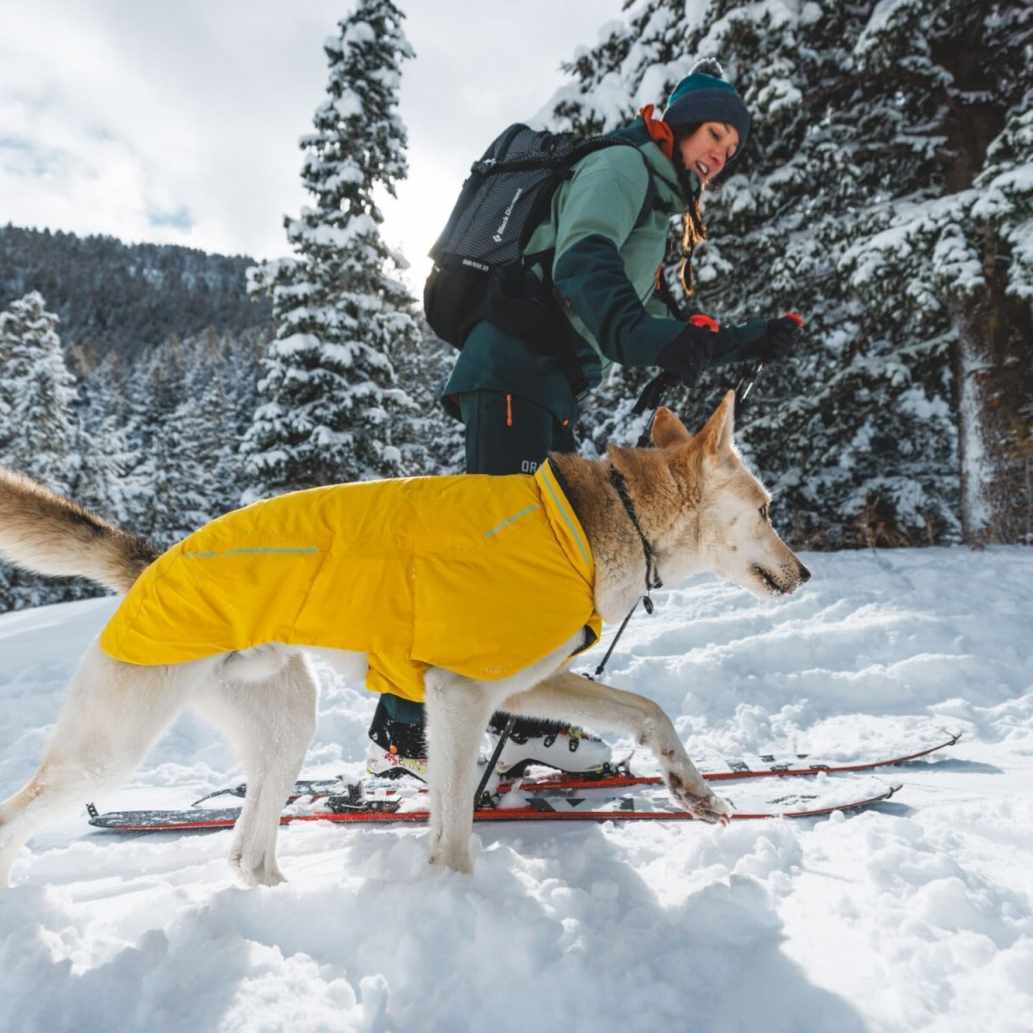 Ruffwear, Knot-A-Collar Climbing Rope Dog Collar, Everyday Use, Obsidian Black, 20-26 Inch image number 5