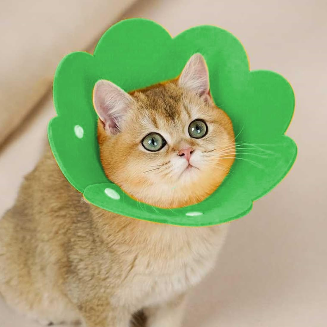 Pack of 2 Neck Collars for Cats and Puppies Pet Collars Protective Collar Adjustable Soft Cat Pets Adjustable Protective Collar Sponge Soft for Pets Protective Collar Collars image number 3