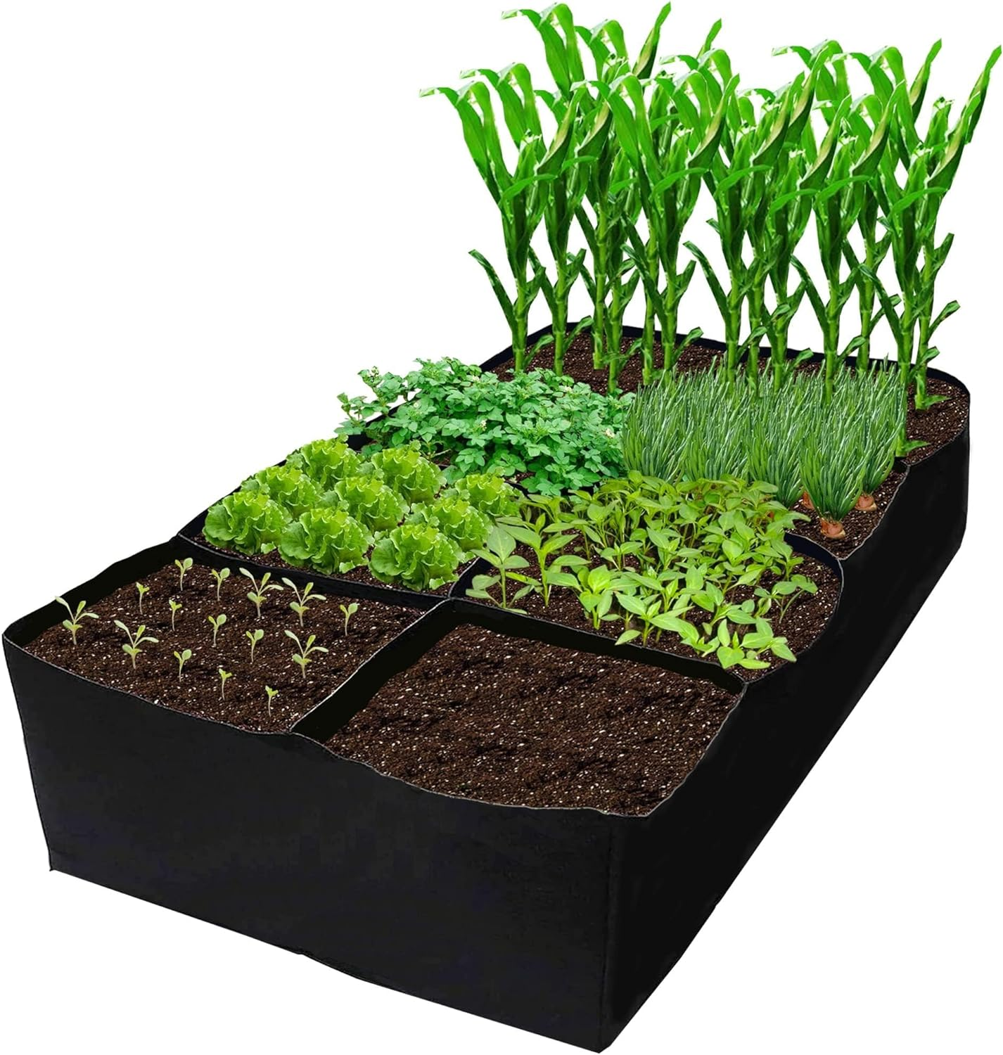 CJGQ Fabric Raised Garden Bed 6X3X1Ft Garden Grow Bed Bags for Growing Herbs, Flowers and Vegetables 128 Gallon