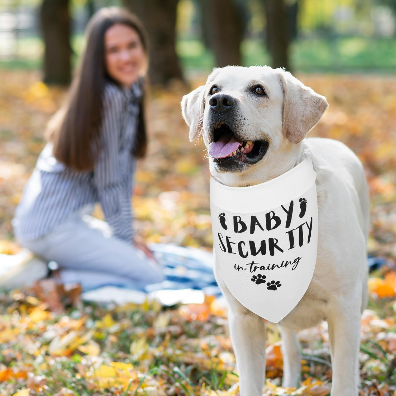 2 PCS Dog Bandana Baby Security in Training Scarf Baby Announcement Sign Triangle Printed Dog Pet Accessories Washable Funny Pregnancy Dog Bandana for Dog Lovers Large Dogs image number 5