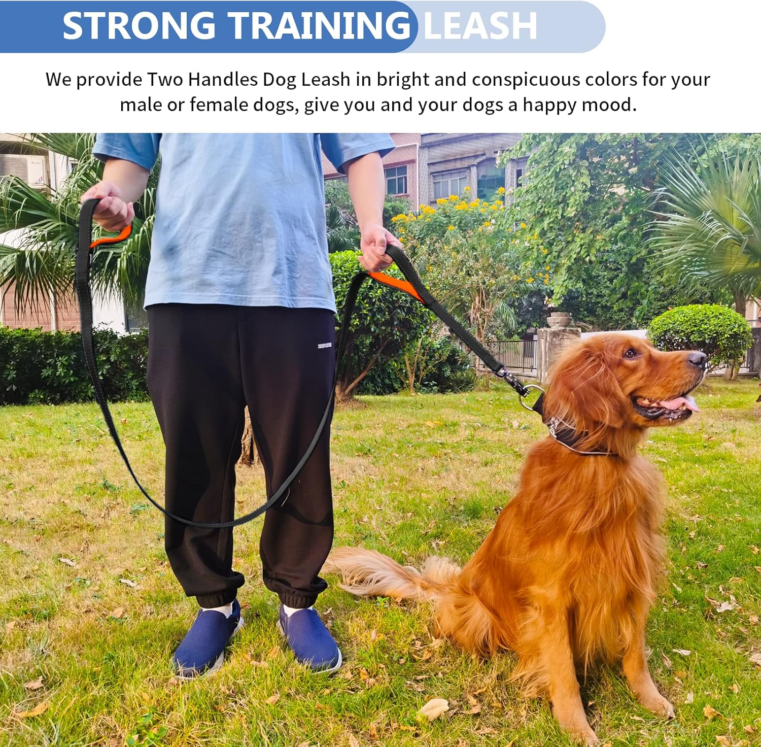 Strong Heavy Duty Dog Leash - 4Ft Reflective Nylon Training Leash with Soft Padded Double Handle & Auto Lock Frog Clip - Safety Traffic Control for Large Medium Small Dog No Pull Walk Black Orange,4Ft image number 5