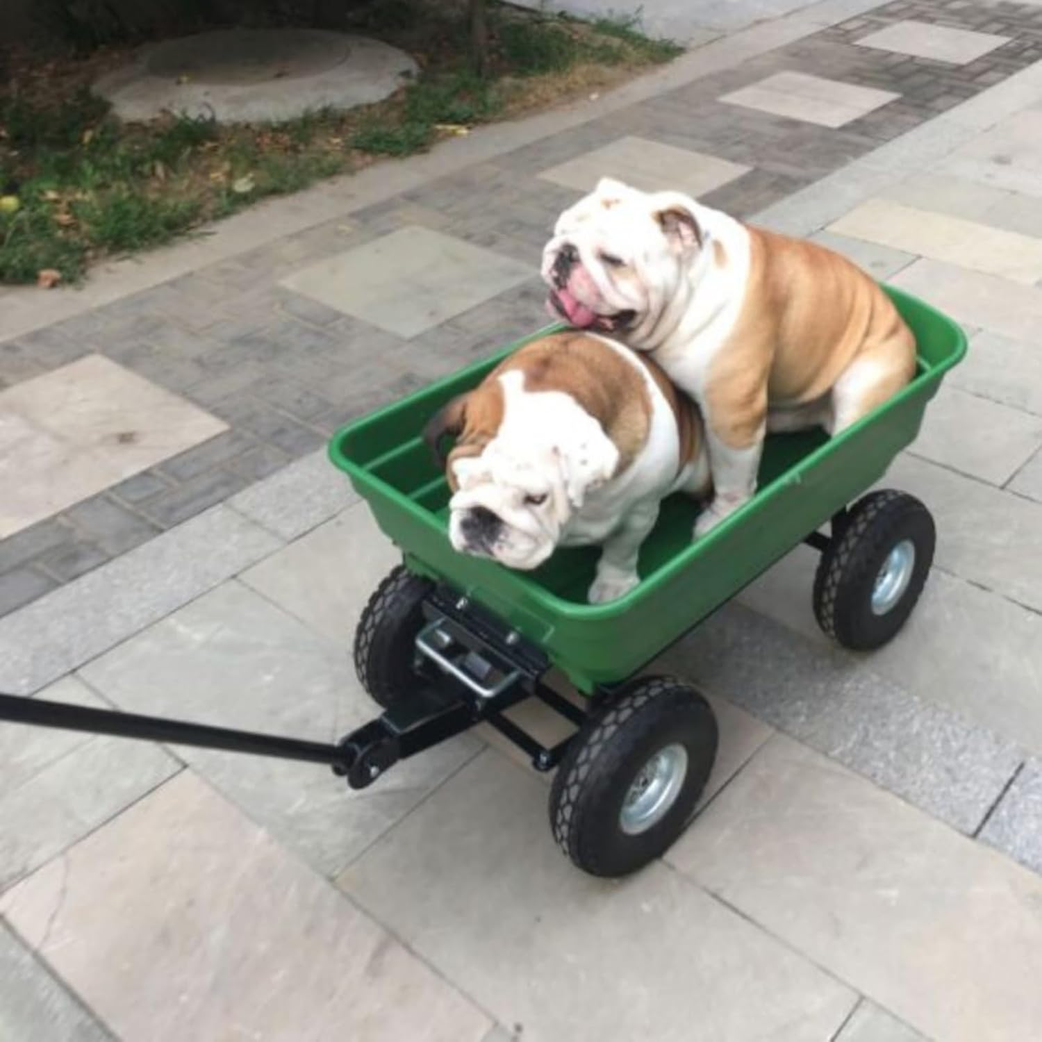 Garden Dump Cart,Camping Beach Wagon with 180&deg; Rotating Handle and 10" Pneumatic Tires,Practical Heavy Duty Yard Carts and Wagons,Quick Release Utility Wheel Barrow Trolley image number 5