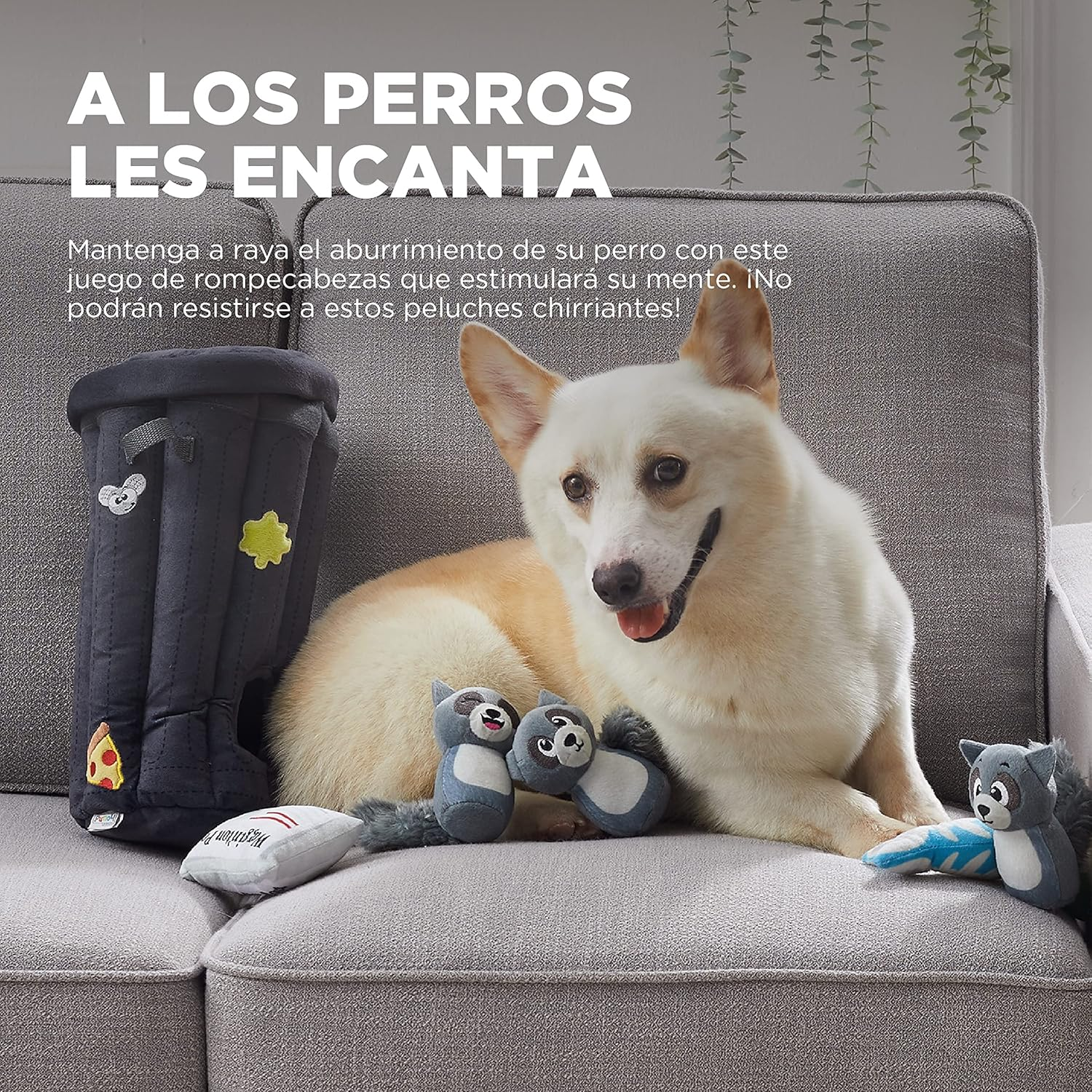 Outward Hound Hide a Raccoon Plush Dog Toy Puzzle