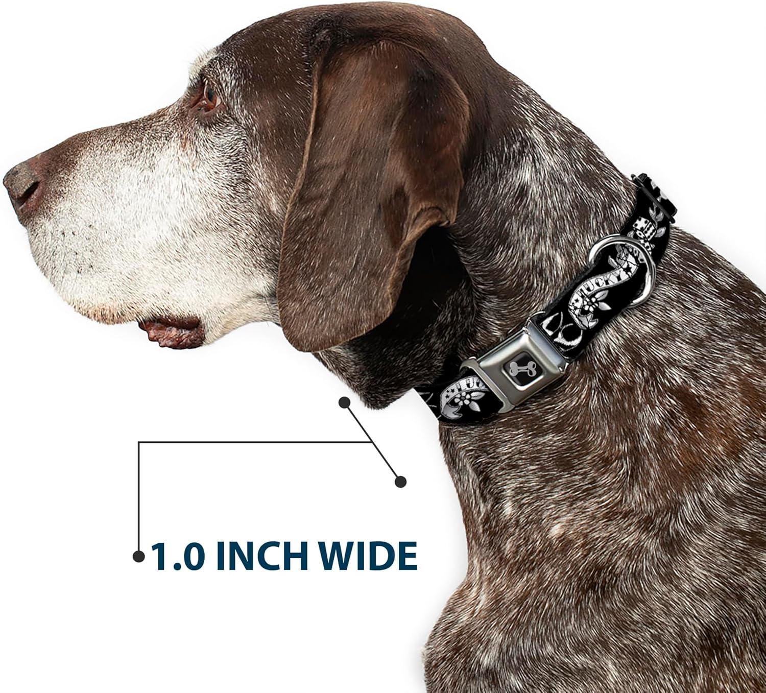 Buckle-Down Seatbelt Buckle Dog Collar - Lucky Black/White - 1" Wide - Fits 15-26" Neck - Large image number 4