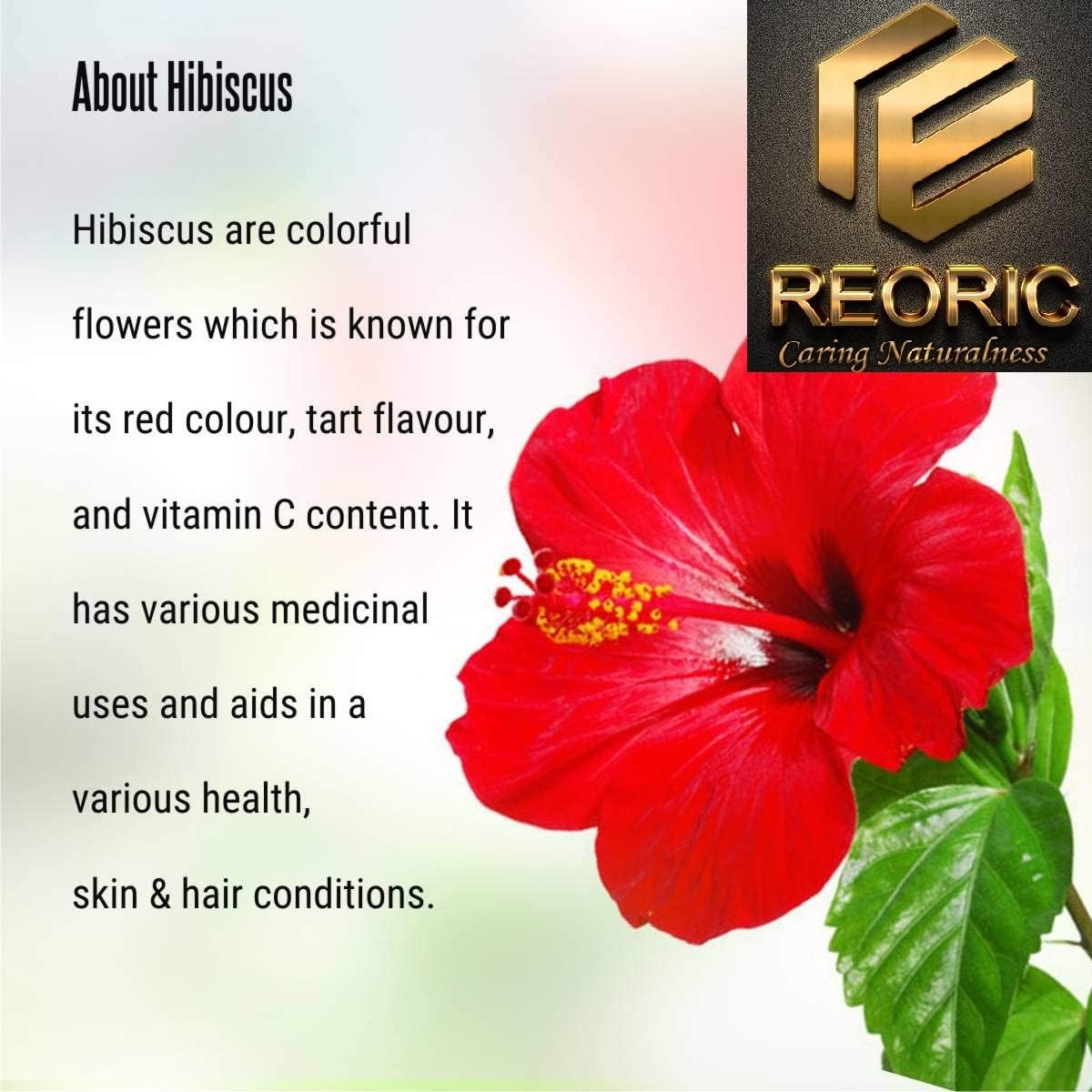 Reoric Amla Reetha Shikakai Bhringraj Hibiscus Powder(500G, Pack of 5) |Soap Nuts for Hair |Indian Gooseberry Powder |Acacia Concinna |Aritha Powder, Separate Pack image number 6