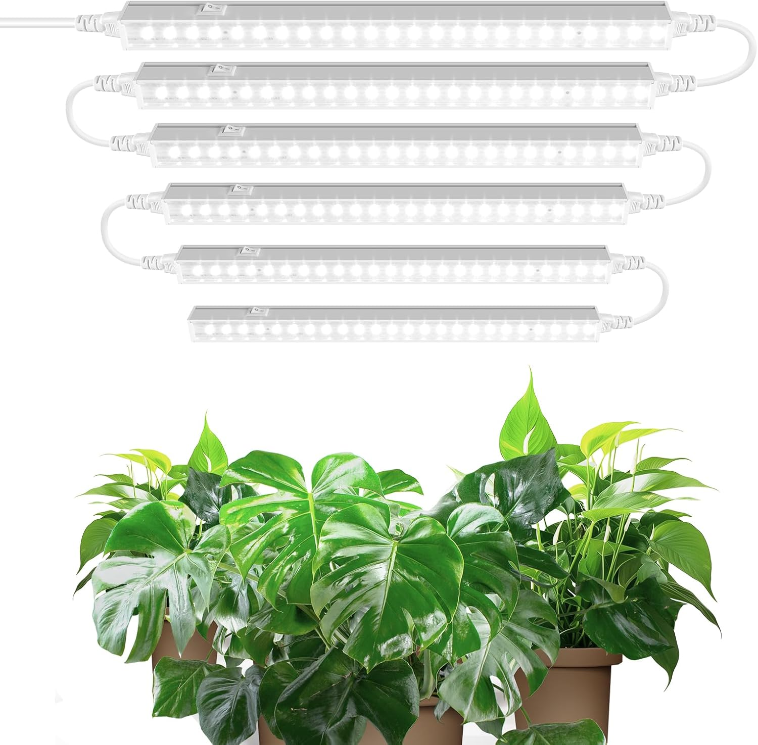 Barrina Grow Light for Indoor Plants, 5000K White Full Spectrum T5 Grow Light Strip, 1FT Plant Grow Light with On/Off Switch, Plug and Play, High PPFD for Indoor Plants, 6 Packs image number 5