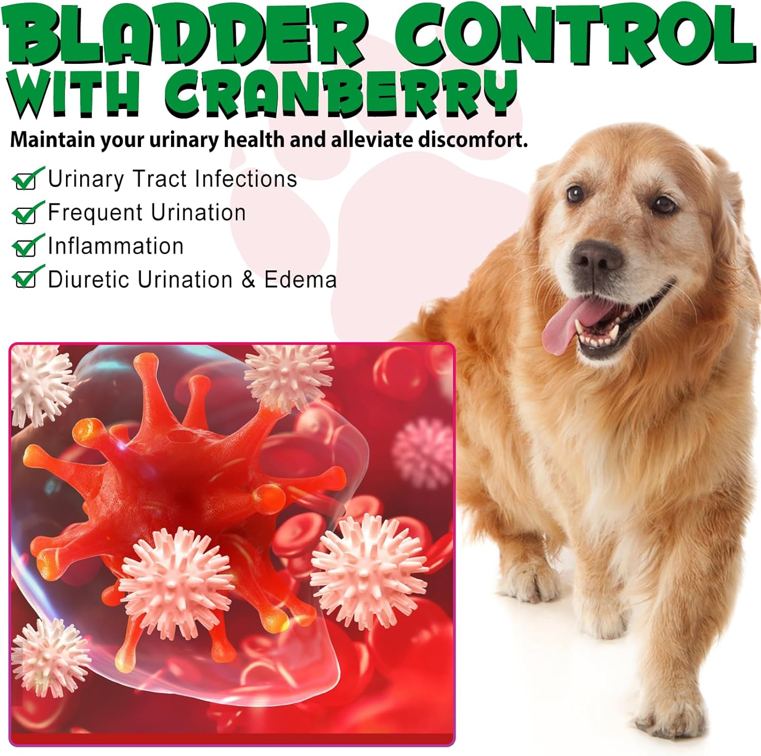 Dog UTI Treatment, Natural Urinary Tract Infection Treatment Drops, Cranberry Supplement, Bladder Health for Dogs All Breeds image number 2