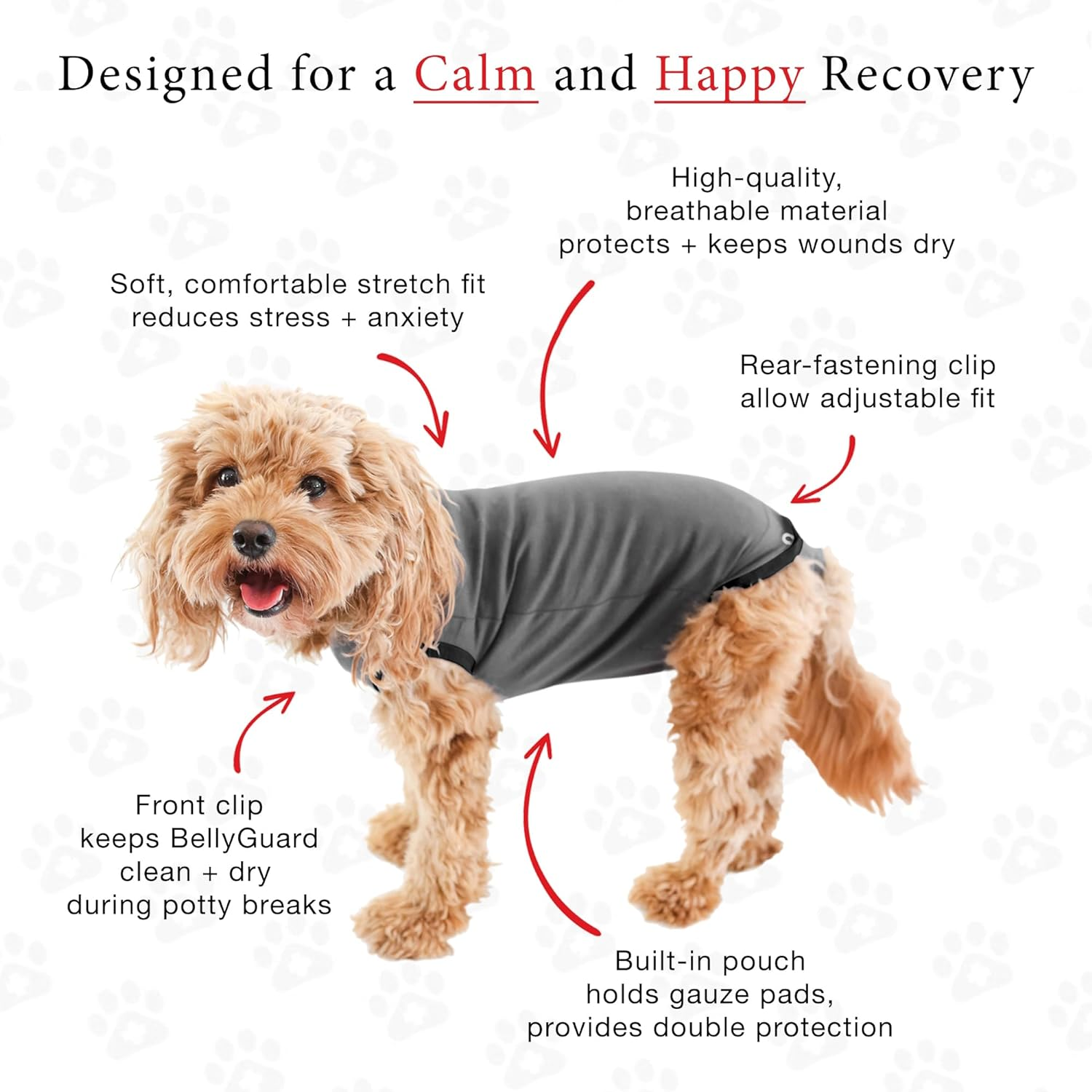 Belly Guard - Dog Recovery Onesie - Cone Alternative - after Surgery Wear (Medium, Grey)
