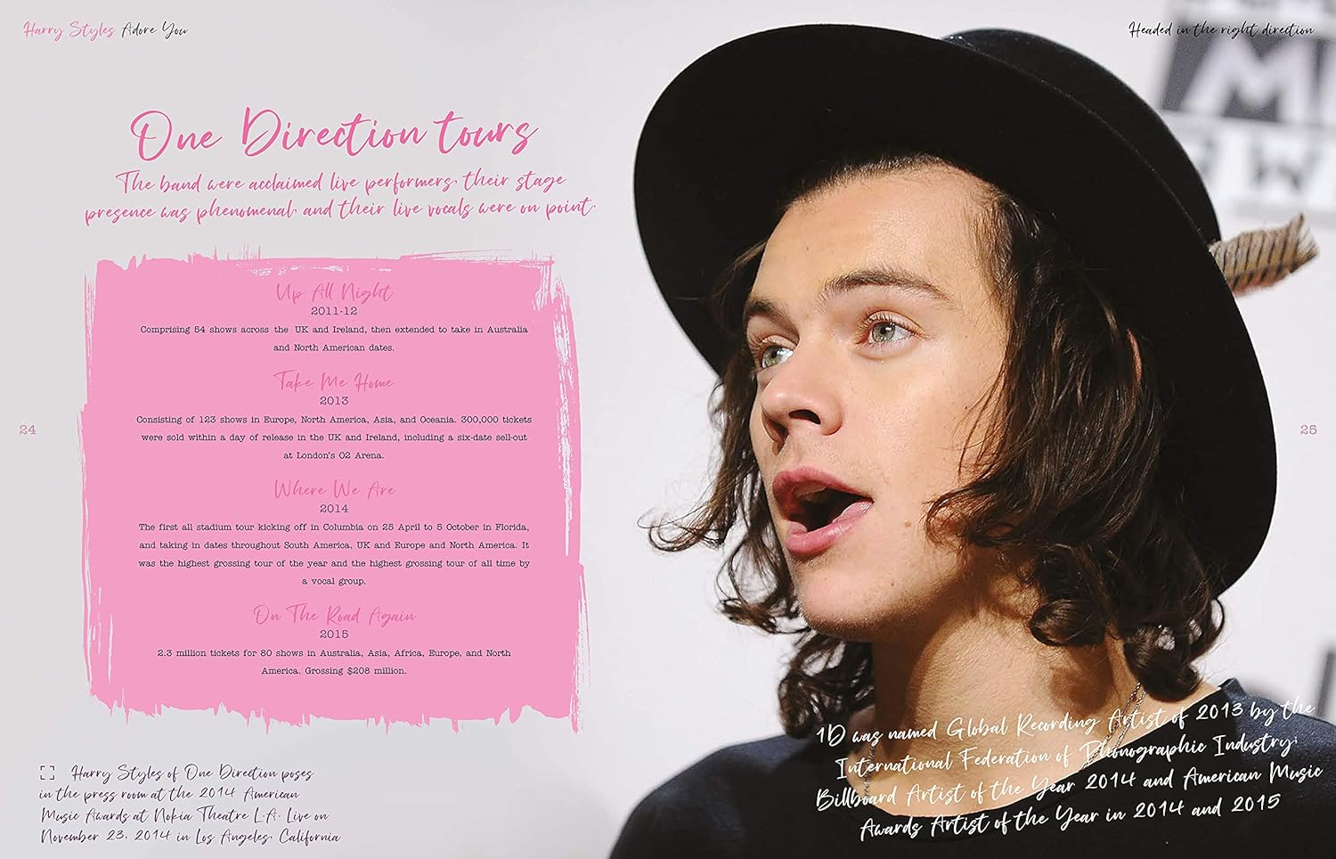 Harry Styles: Adore You: the Illustrated Biography image number 2
