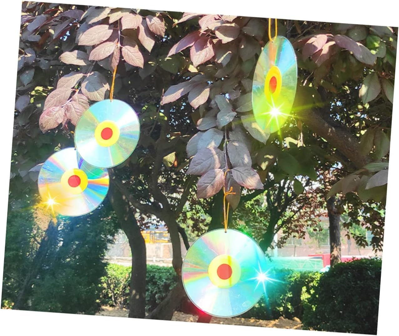 Ksngtixe 4Pcs Reflective Bird Scare Discs, Wind-Activated Deterrent for Pigeons/Ducks/Crows, Double-Sided Outdoor Garden Decor, Rotating Bird Repellent for Yard & Farm image number 2