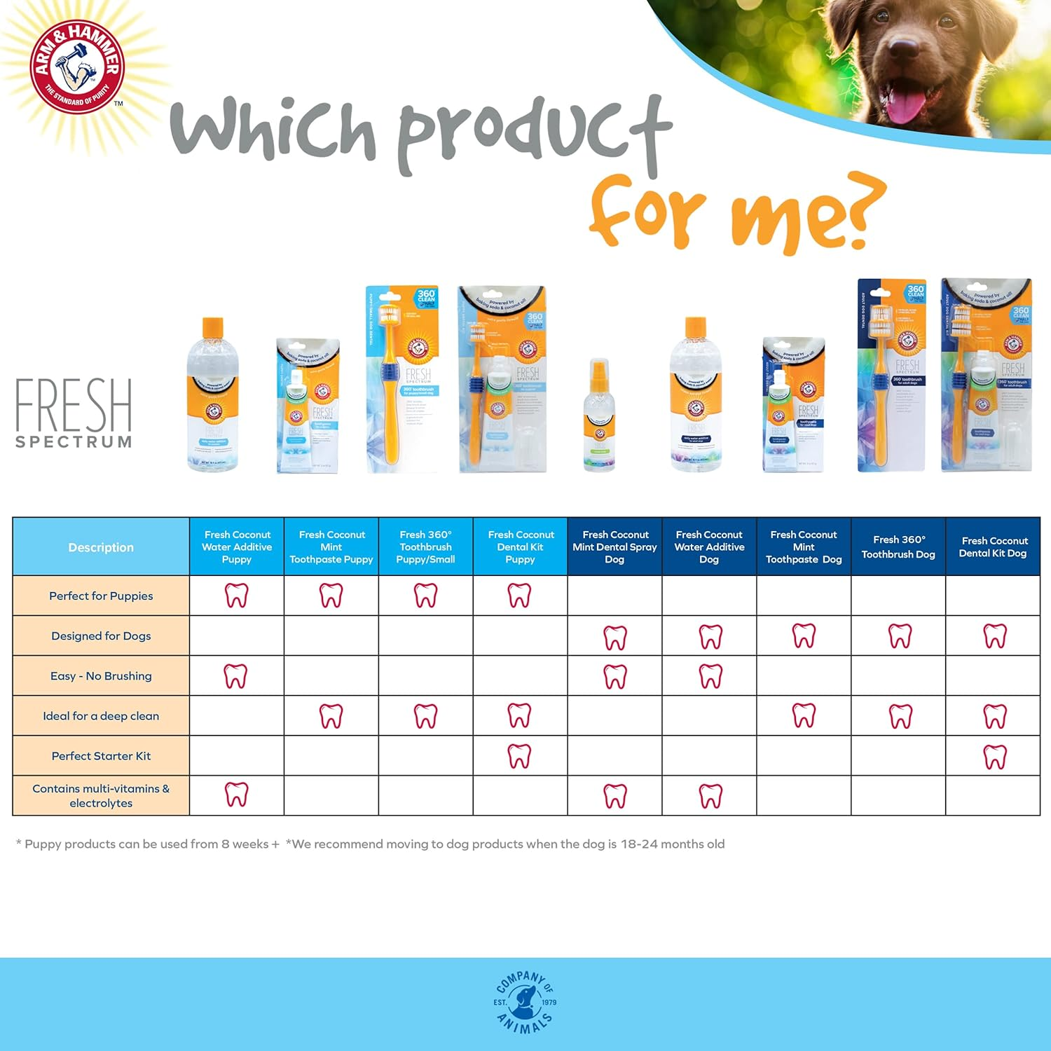 ARM & HAMMER Fresh Spectrum Coconut Mint Dog Dental Spray, 118Ml, Best Dental Care for Dogs, Removes Plaque & Tartar, Freshens Breath, Gum & Teeth Cleaning, No Brushing, Easy to Use Pet Oral Hygiene image number 5