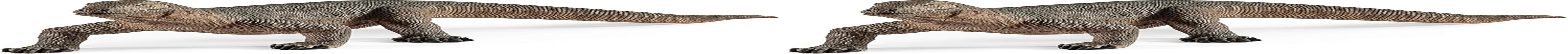 Schleich WILD LIFE 14826 Realistischer Komodowaran - Authentisches, Detailreiches, Tiere Komodowaran Spielzeug - Wilde, Robuste Tiere Figuren Sets F&uuml;r Fantasievolles Spiel Ab 3 Jahren image number 2