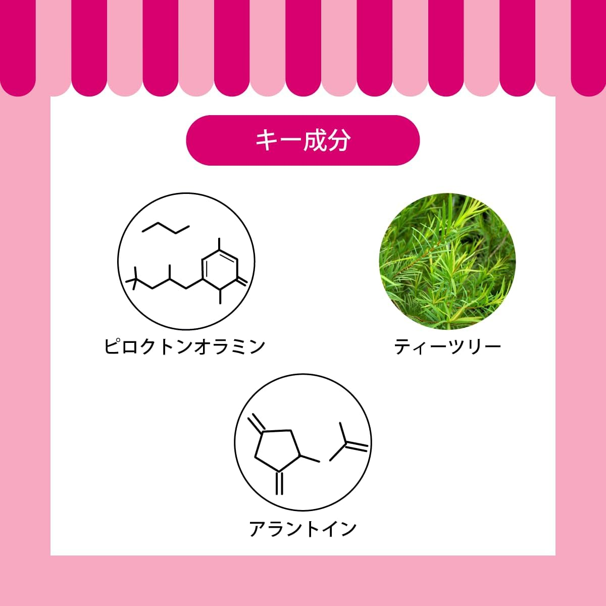 A.P.D.C. Waterless Shampoo, Refill, 16.9 Fl Oz (500 Ml) image number 3