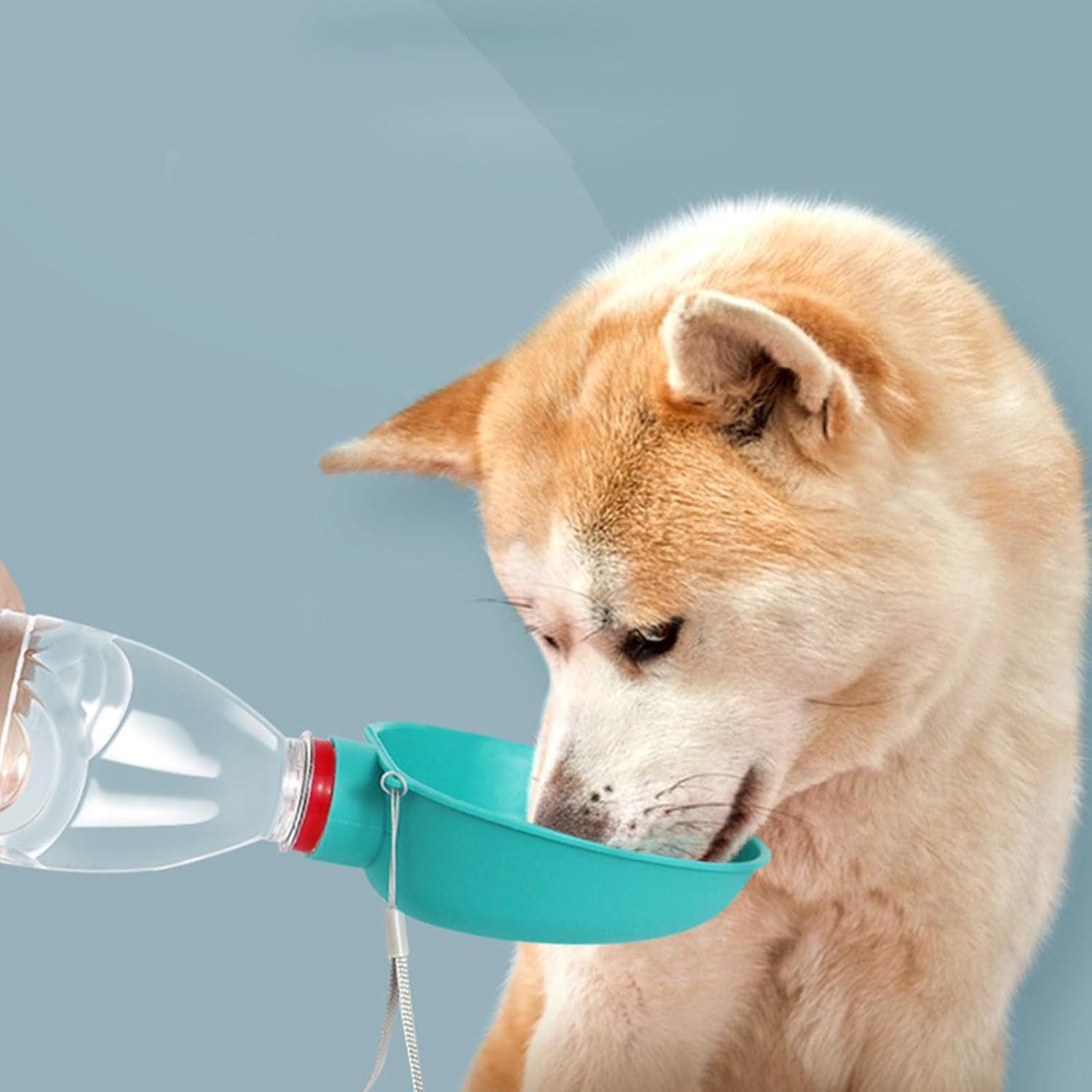 Pet Water Bottle, Pet Water Bottle, Dog Water Bottle, Water Bottle for Pets, for Dogs, Cats, Outdoor Walks, Hiking (Water Bottle Not Included) image number 3