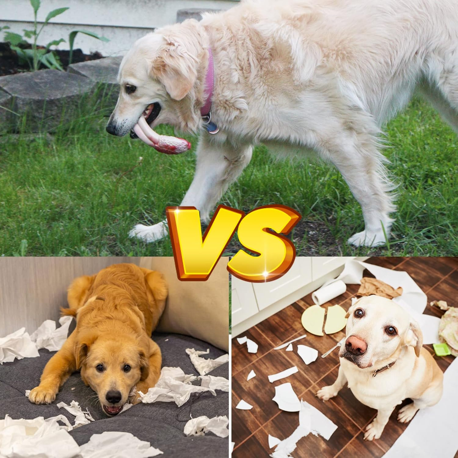 Durable Dog Chew Toy for Aggressive Chewers, Indestructible Nylon Teething Bone Bacon Flavor for Large Medium Breed image number 2