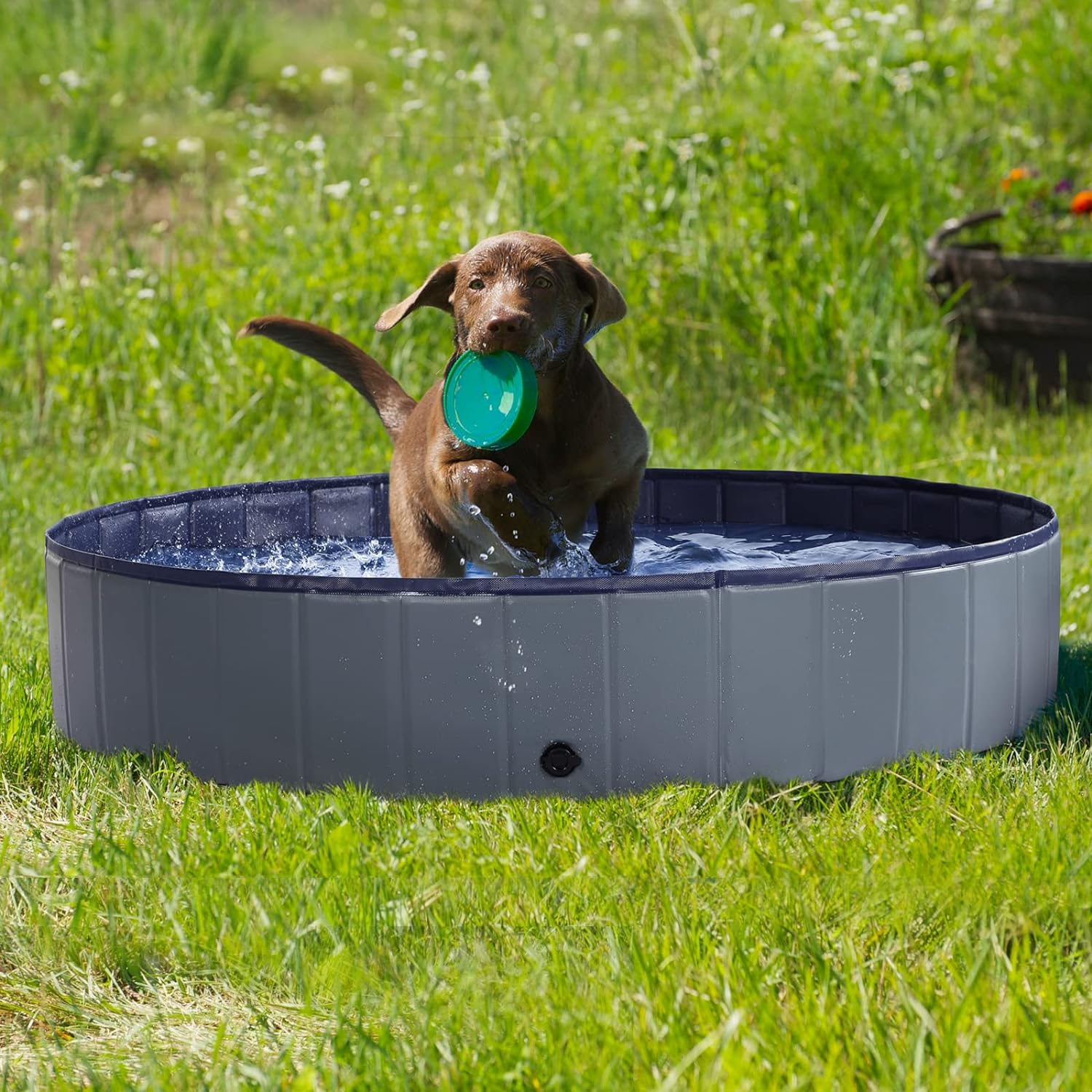 Dog Pool - Dog Pools for Large Dogs, Pet Pool Hard Plastic, Foldable Pool for Dogs Cats and Kids (63Inch.D X 12Inch.H, Grey) image number 5