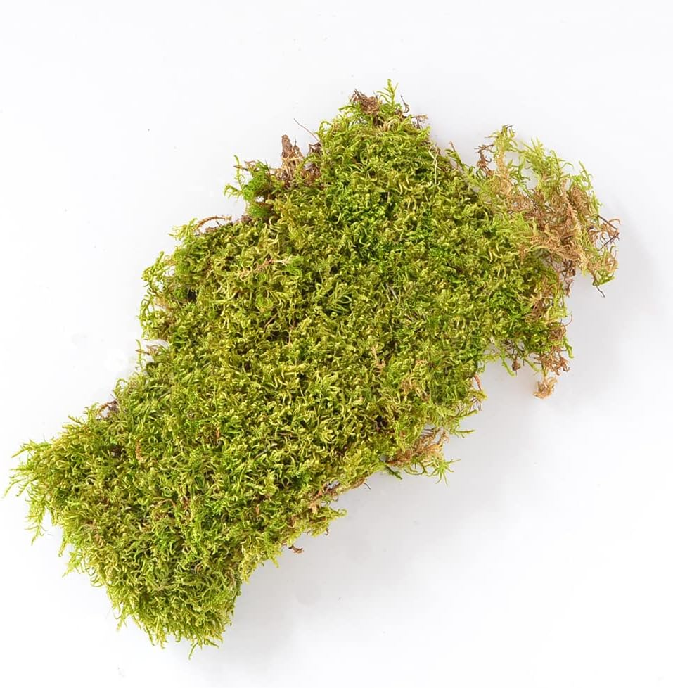 Mosser Lee ML0460 Natural Green Sheet Moss, 325 Sq. In. image number 3