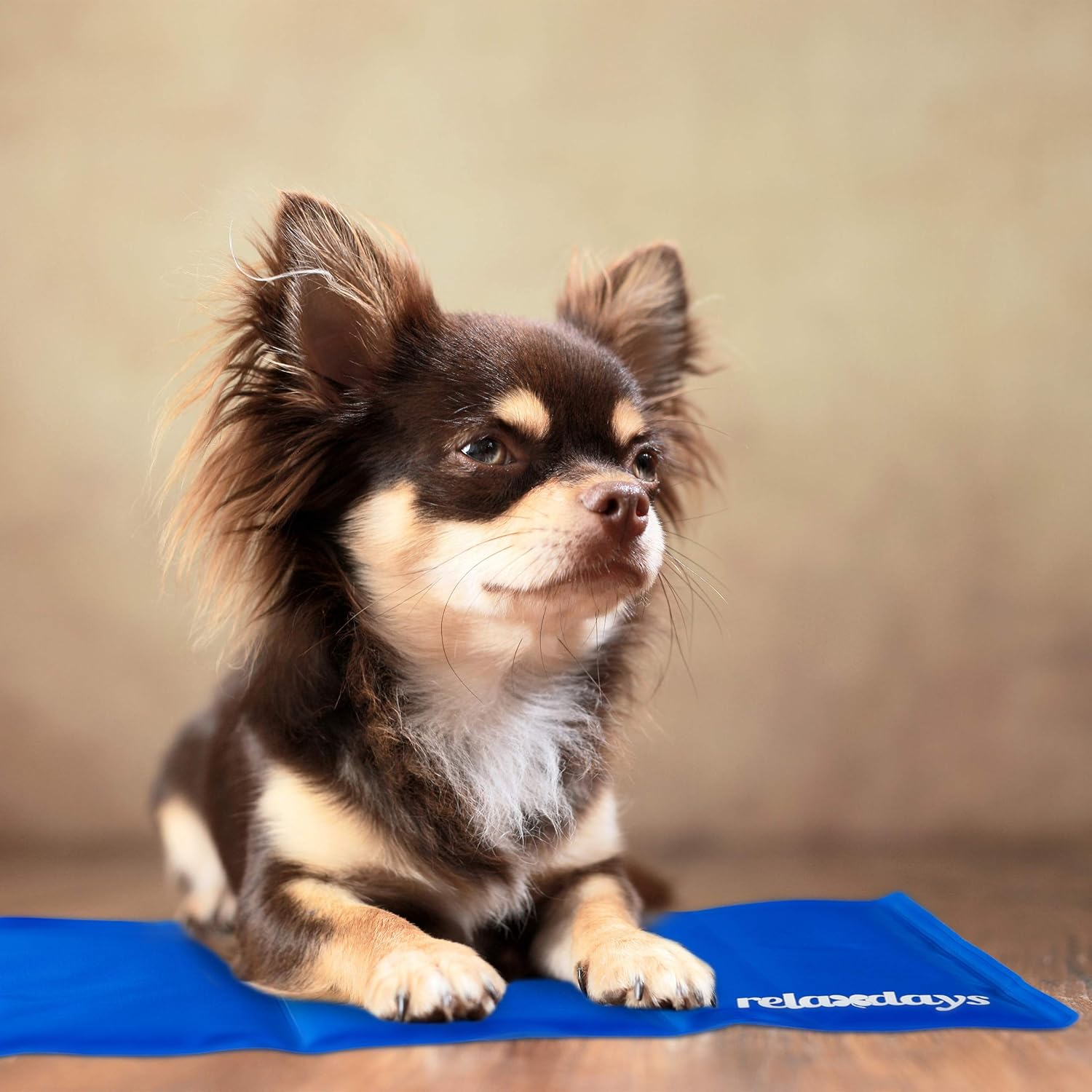 Relaxdays Dog Cooling Mat Self Cooling Wipe Clean Heavy Duty with Gel Cooling Blanket for Animals, Cold Blanket 20 X 35 Cm, Blue