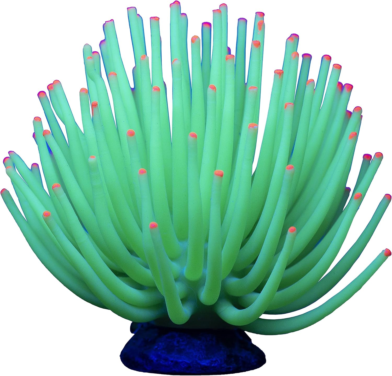 Glofish Anemone Ornament, Detailed Aquarium Ornament, Large Green, Creates a Glowing Effect image number 3