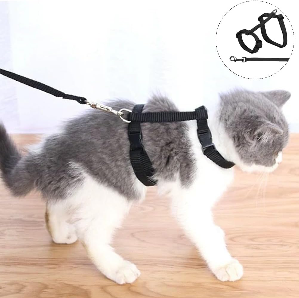 Cat Carrier with Lead, Adjustable Nylon Transporter, Cat Lead for Cats and Rabbits image number 5