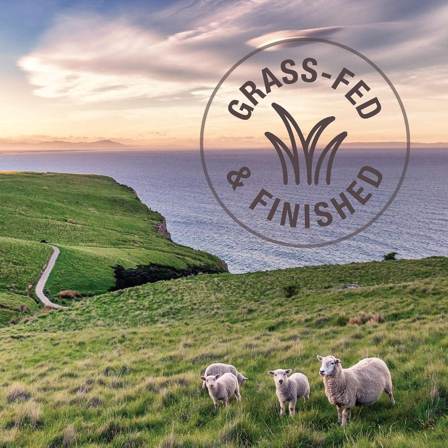 K9 Natural - Grain Free Freeze Dried Dog Treats - Chicken Bites, 50G image number 4