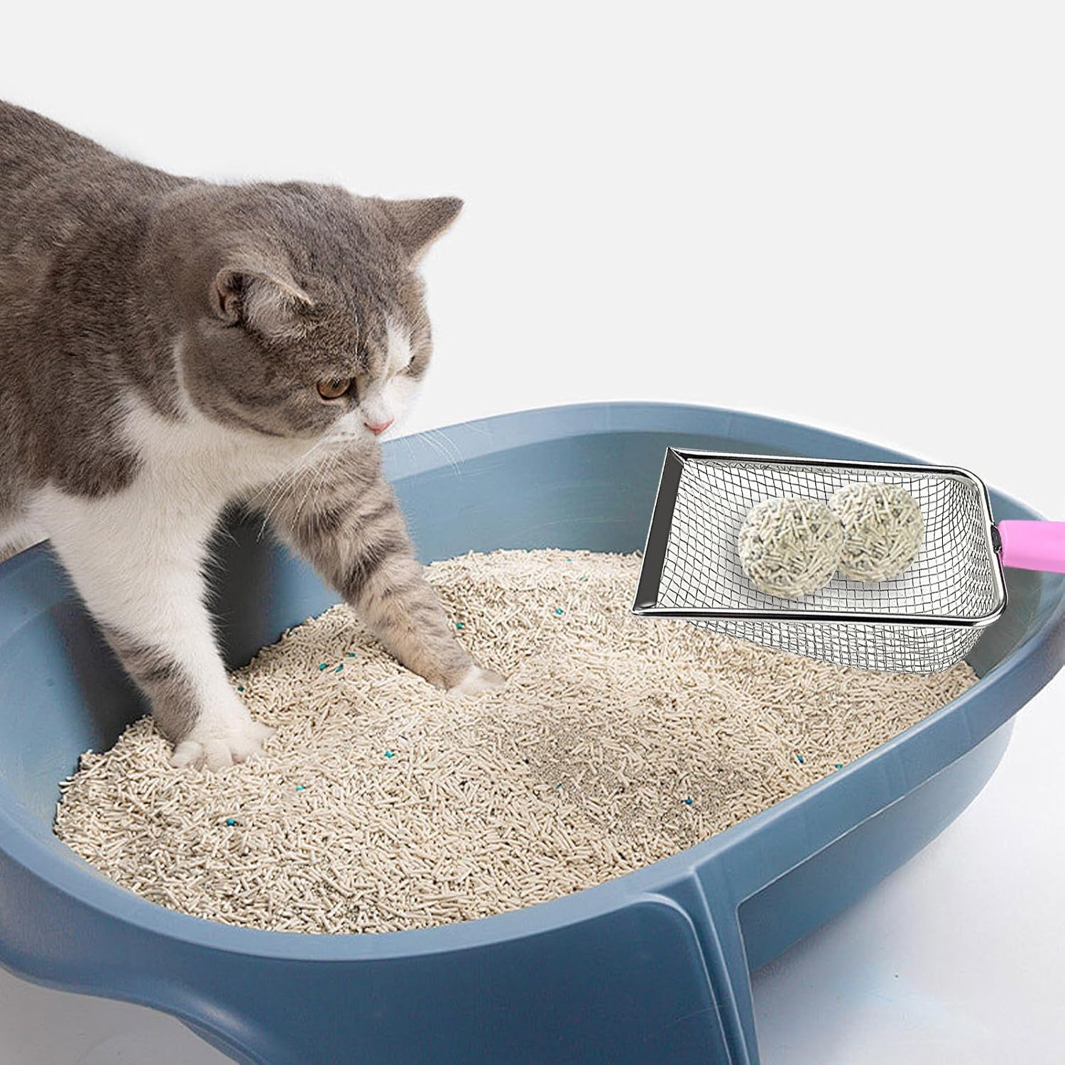 PLUSHCEWT Cat Litter Scooper, Cat Poop Scooper, Sand Strainer Scoop, Stainless Steel, Reptile Net, Pooper Scooper, Scatter Cleaner, Corner Scoop, Pet Litter Cleaning Tool for Cat, Dog, Rabbit, image number 3