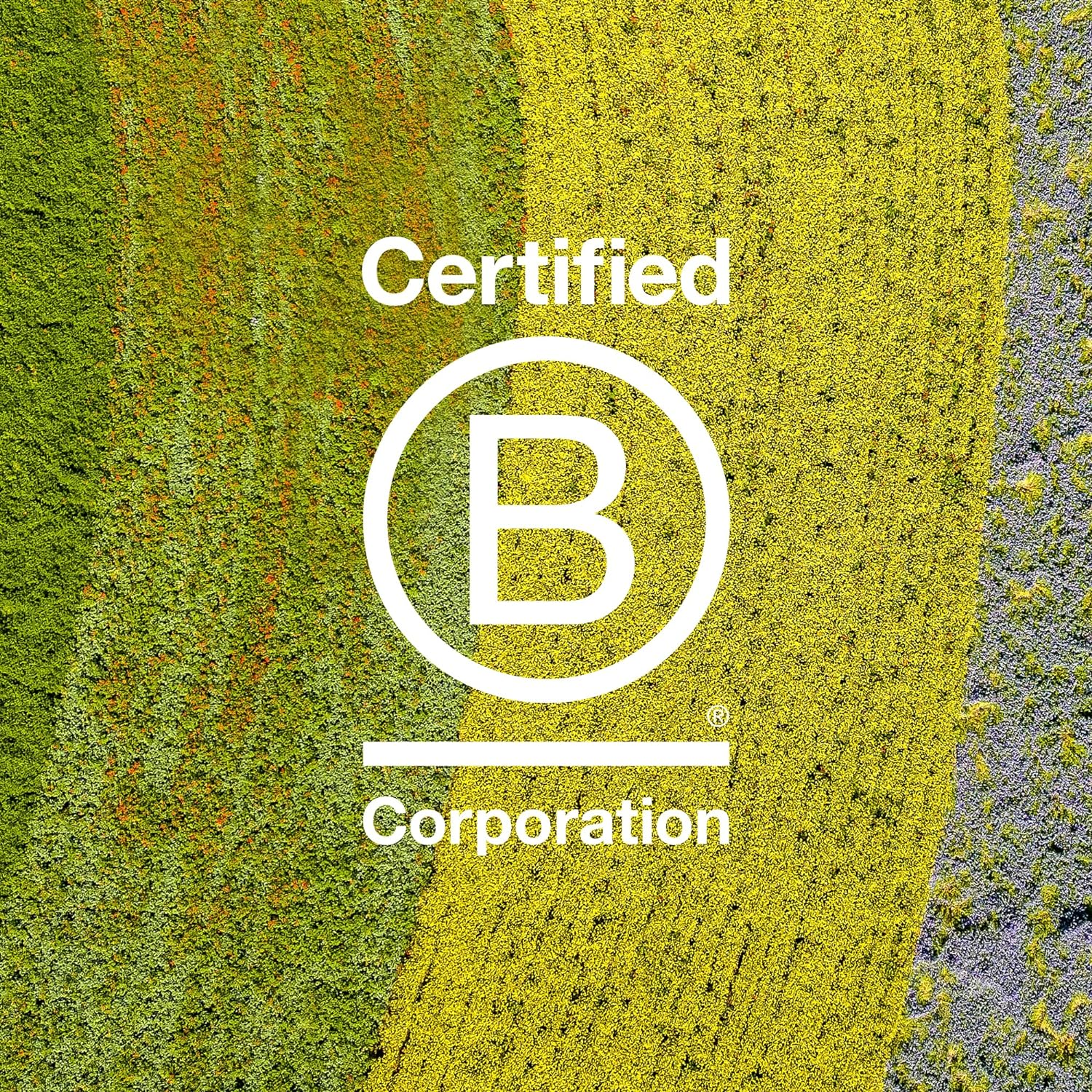 Davines LOVE Smoothing Instant Mask, Anti-Frizz Action for Sleek and Smooth Results, 8.45 Fl. Oz.