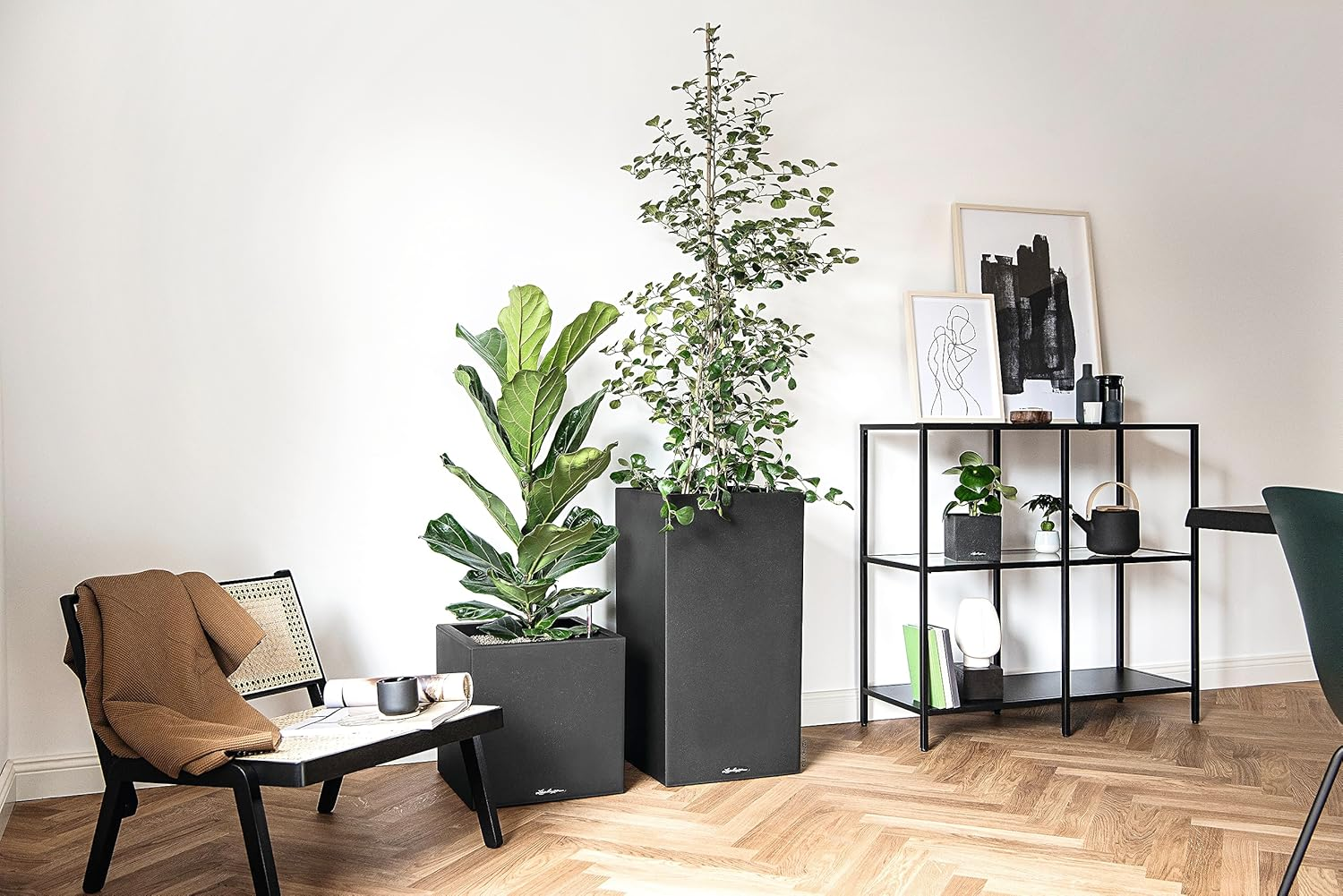 Lechuza Canto Stone 30 Tall Self-Watering Garden Planter, Graphine Black, 12" X 12" X 22" image number 6