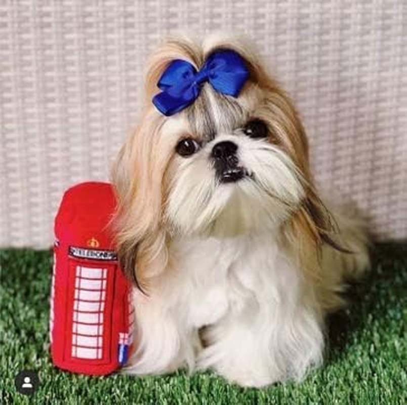 Petlondon British Red Telephone Box Plush Dog and Puppy Toy 6" with Squeaker, Cute Fun London Landmark Telebone UK Dog Interactive Toy image number 2