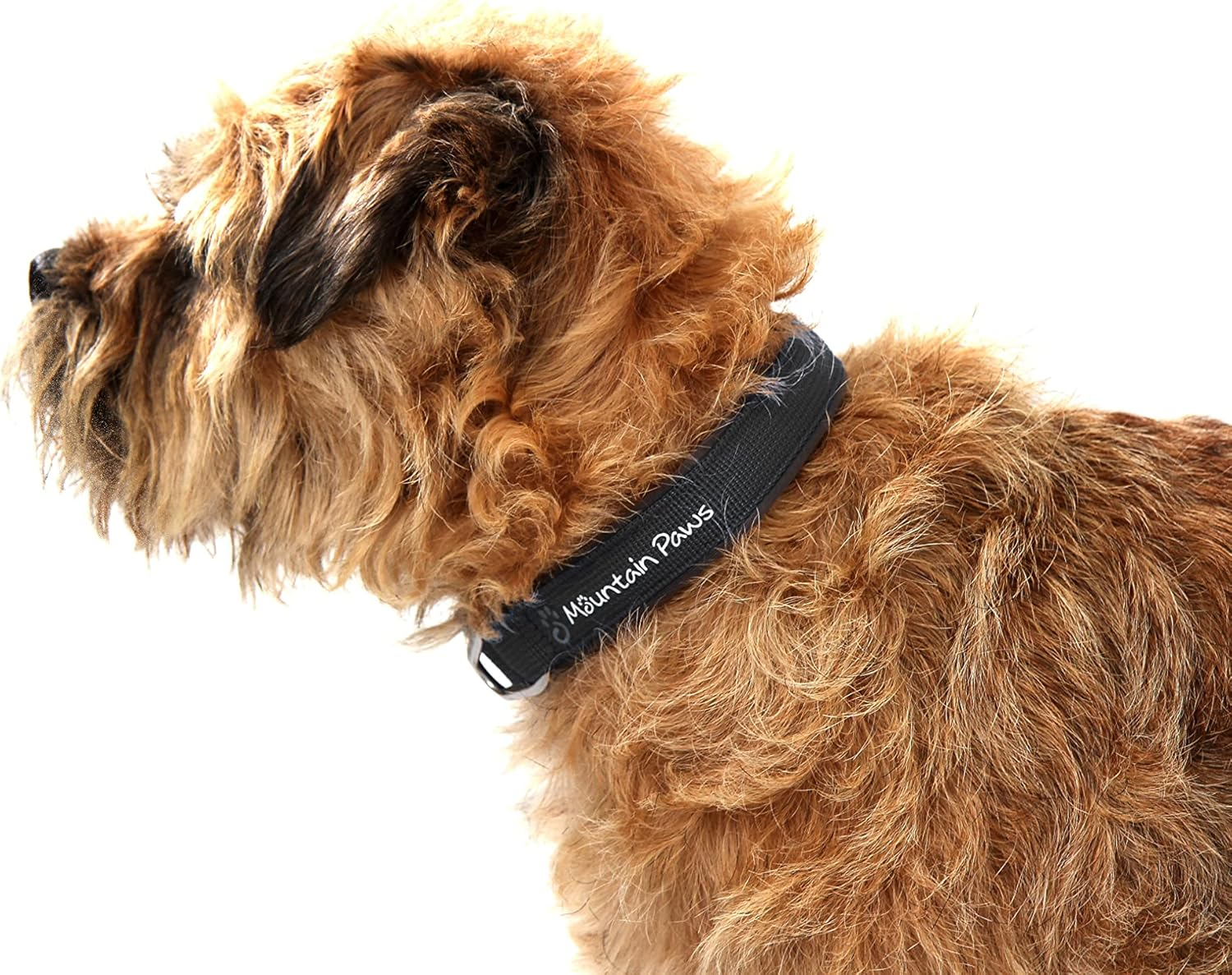 Mountain Paws Dog Collar, Small - Black, S image number 1
