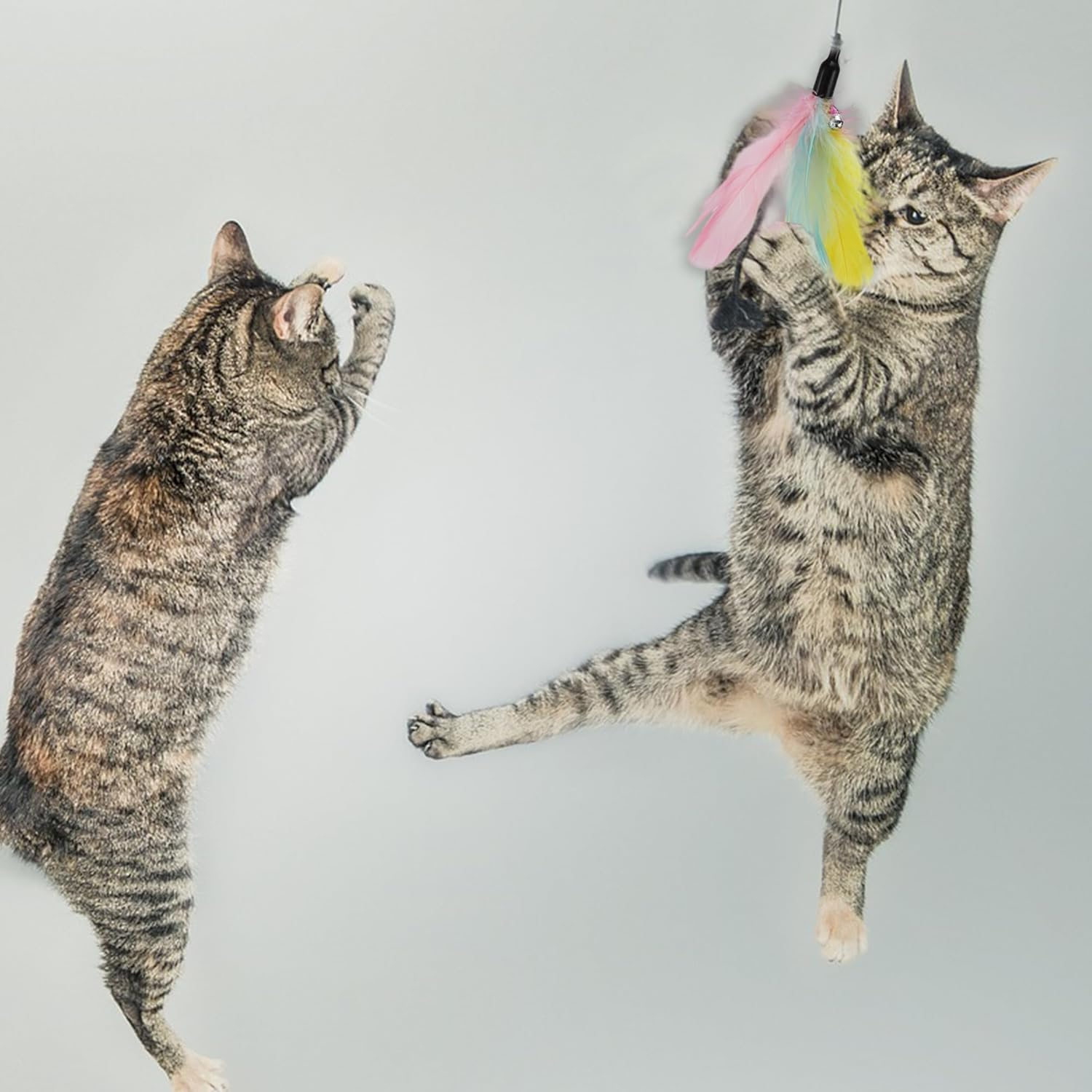 CAPASTEC Pack of 2 Cat Wand Replacement for Pet Interactive, Fluffy Feathers image number 1