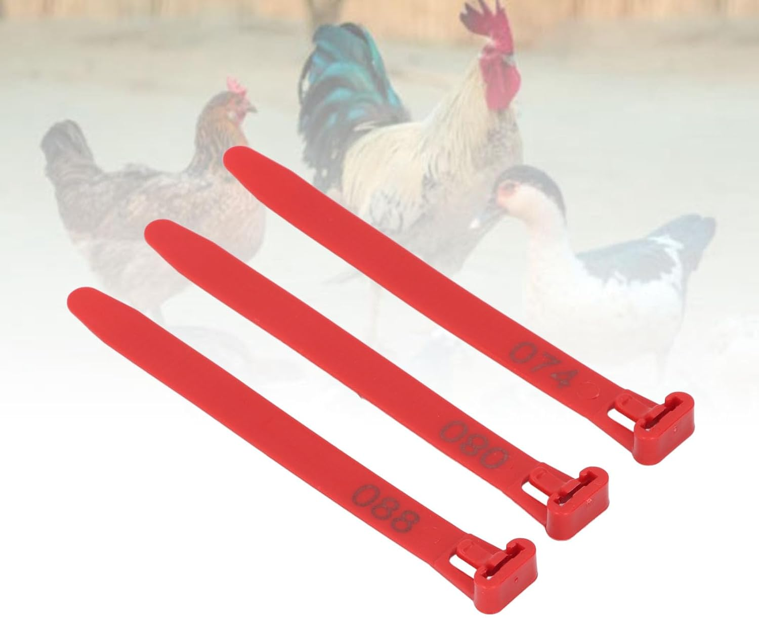 Generic Chicken Leg Rings, 1 to 100 Numbered, Red, Poultry Bands, 100 Count - Orange, Opening Size: 7-15Cm / 2.8-5.9In image number 6