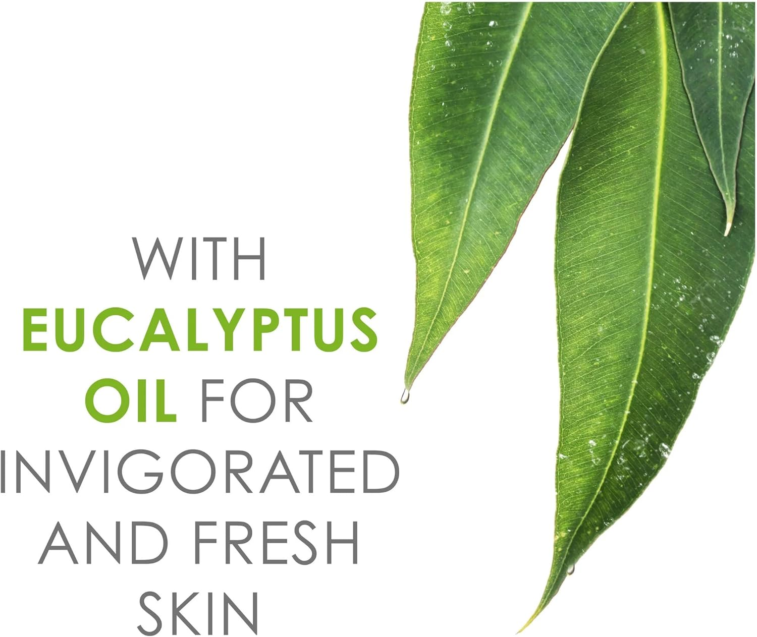 ((2 Pack)) - Noxzema Deep Cleansing Cream + Moisturisers 355 Ml Jar image number 6