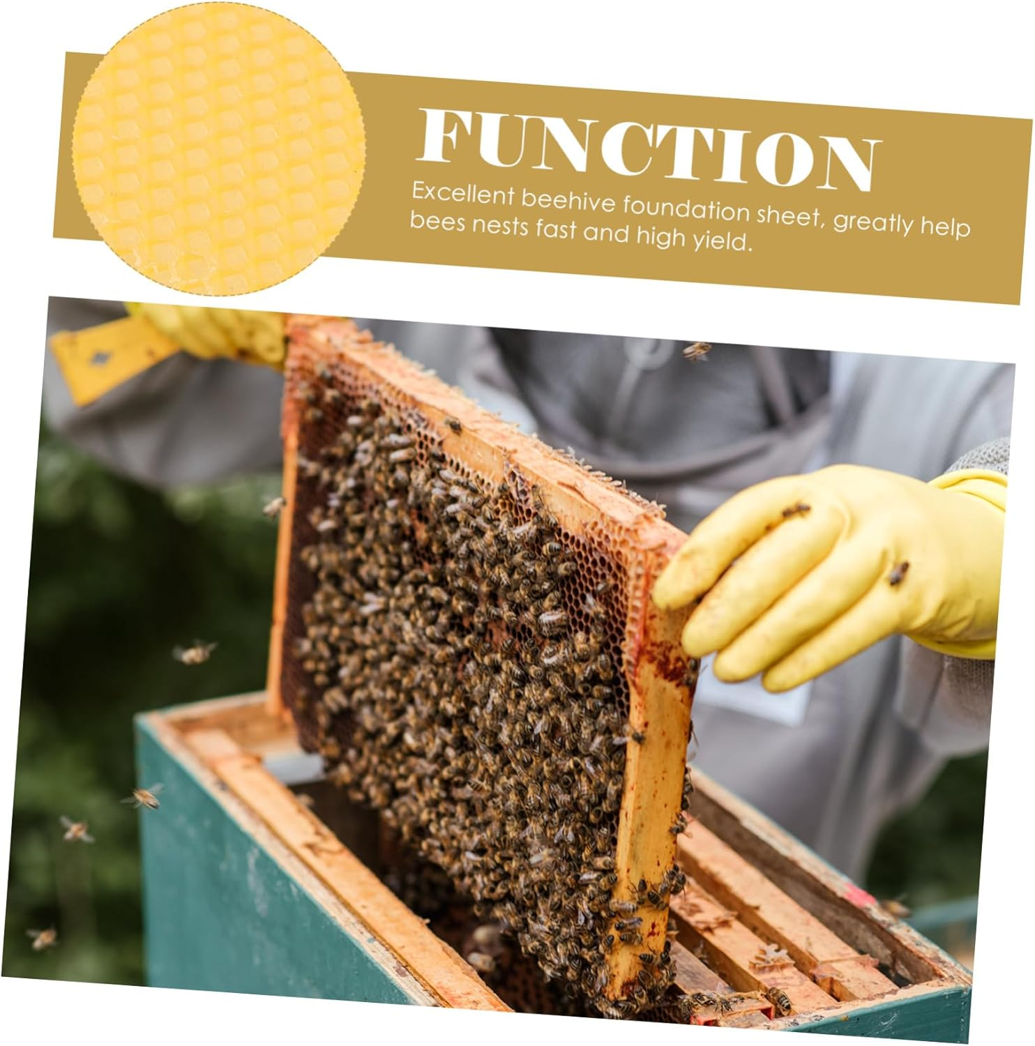 DECHOUS 30Pcs Beeswax Foundation Sheets Beekeeping Base Honeycomb Foundation for Beehive Frames Smooth Surface DIY Candle Craft Furniture Polish Supplies image number 3