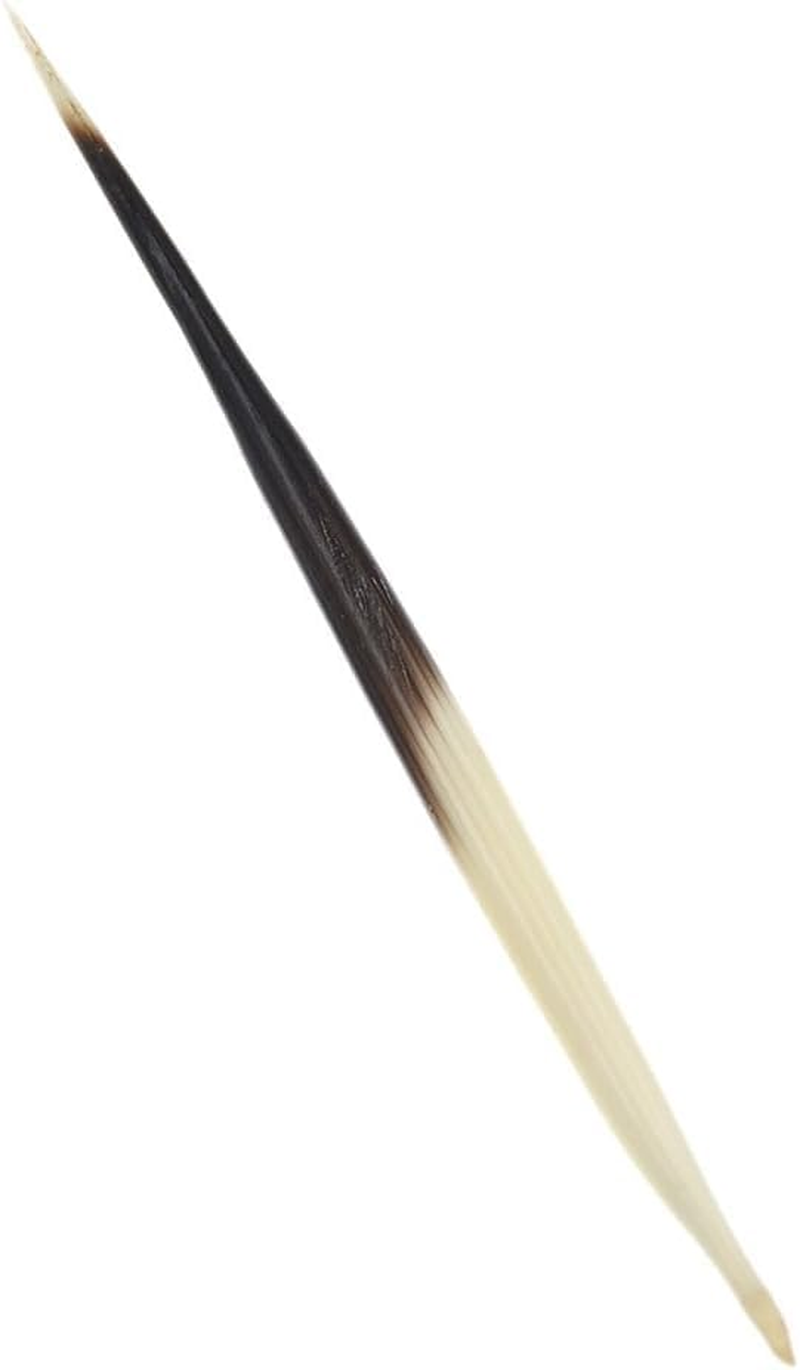 10Pcs Porcupine Quills Hair Stick Indian Crafts Accessories Fishing Buoy DIY Sewing Project Kits Arts image number 3