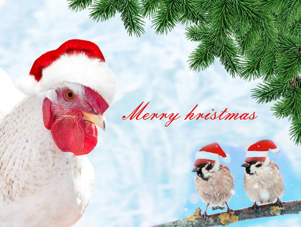 Vehomy 4Pcs Chicken Hats for Hens Chicken Christmas Santa Claus Hat with Adjustable Chin Strap for Poultry Hen Rooster Goose Duck Parrot image number 4