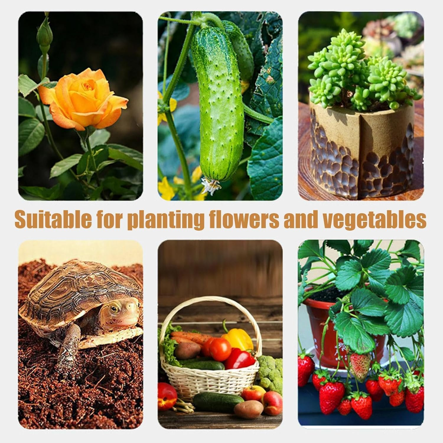 Organic Coco Coir - Organic Coco Coir Chips with Low EC and PH Balance | High Expansion Plant Soil, Natural Coconuts Fiber, Gardening Supplies for Flowers Vegetable image number 3