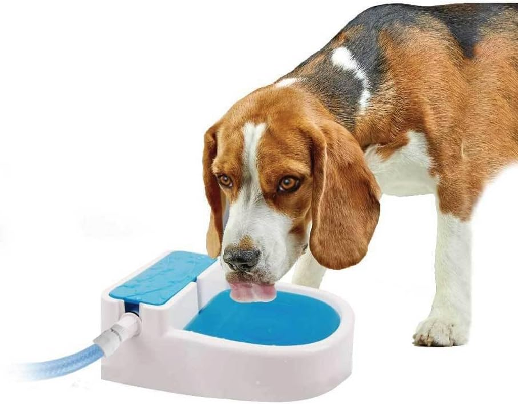 ALL for PAWS Chill Out Garden Automatic Filling Fountain for Dogs, 8.8007 Kg image number 2