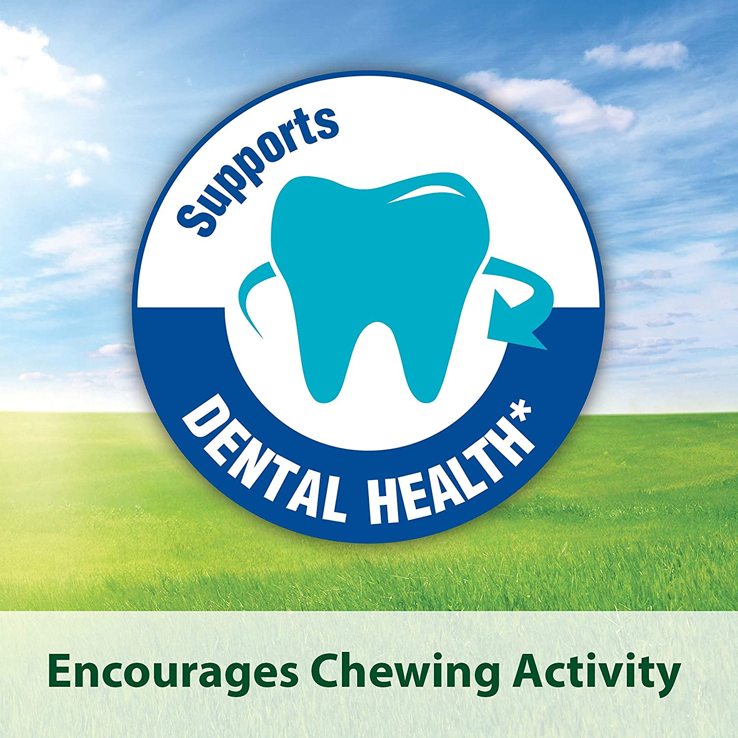 Kaytee Timothy Biscuits Baked Carrot Treat, 4-Oz Bag image number 1