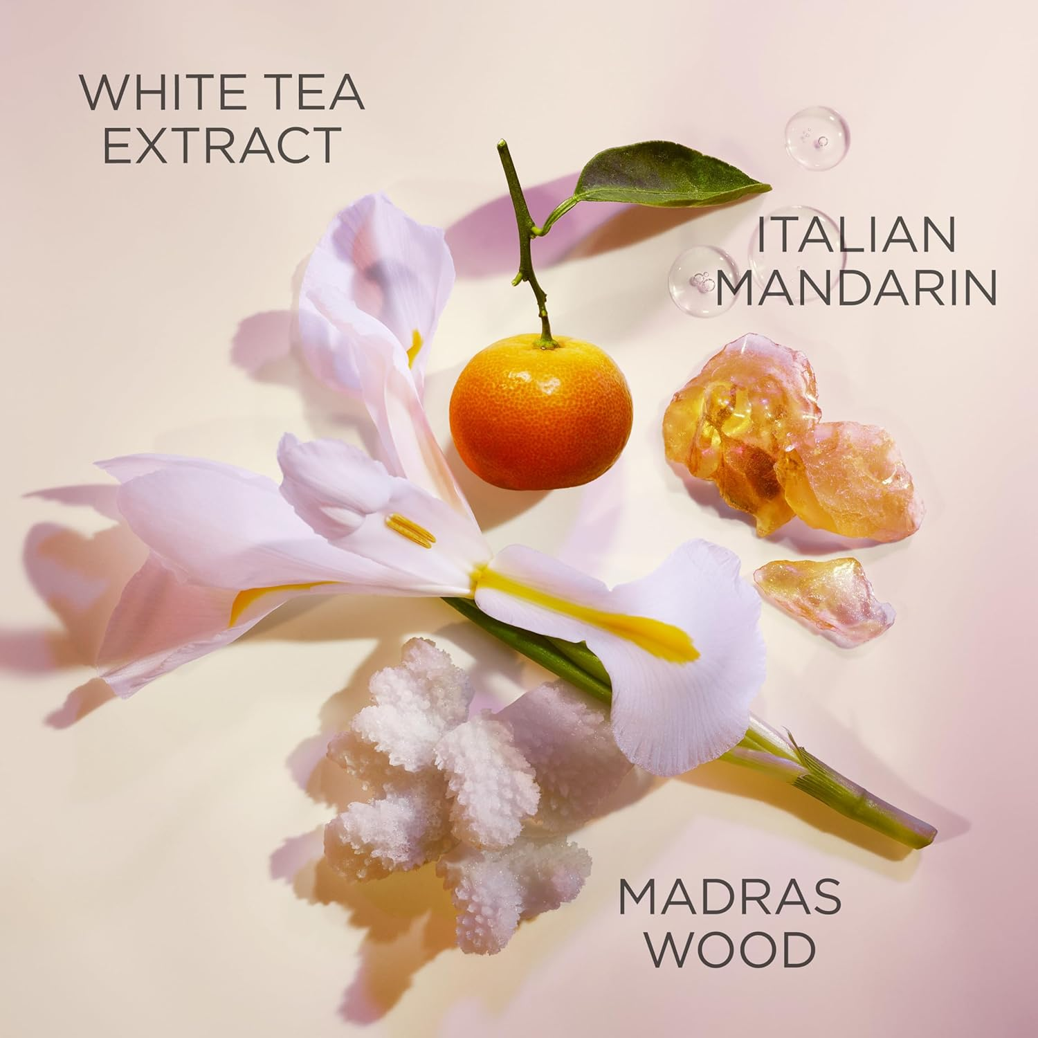 Elizabeth Arden White Tea image number 1