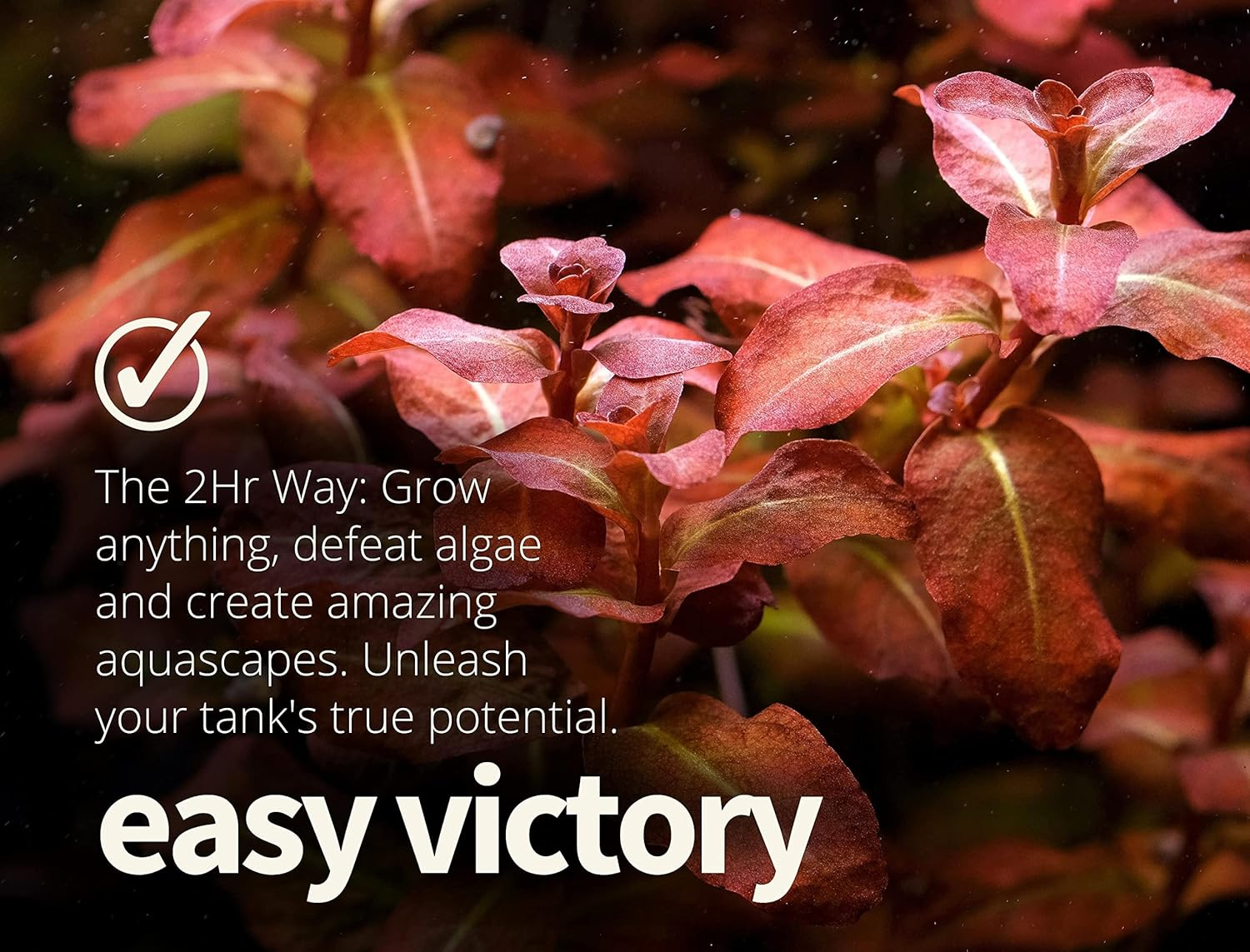 THE 2HR AQUARIST All-In-One APT 1 for Planted Aquariums (600Ml) image number 4