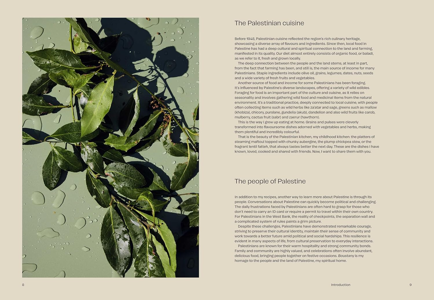 Boustany: a Celebration of Vegetables from My Palestine