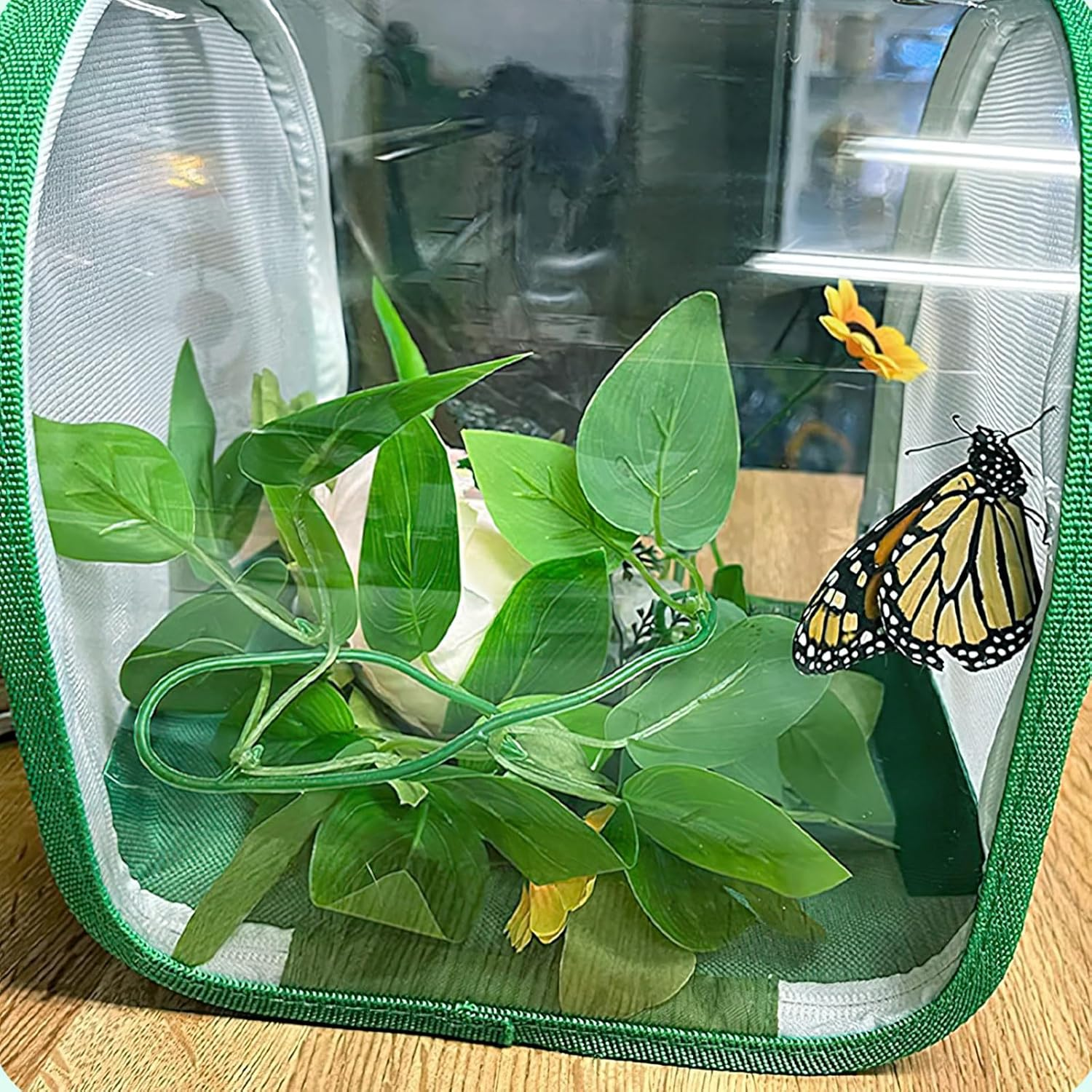 Insect Enclosure,Stick Insect Enclosure,Butterfly House for Caterpillars,Mesh Butterfly Habitat Cage,Butterfly Mesh Cage,Collapsible Insect Mesh Cage for Science Education,Caterpillar Enclosure image number 5