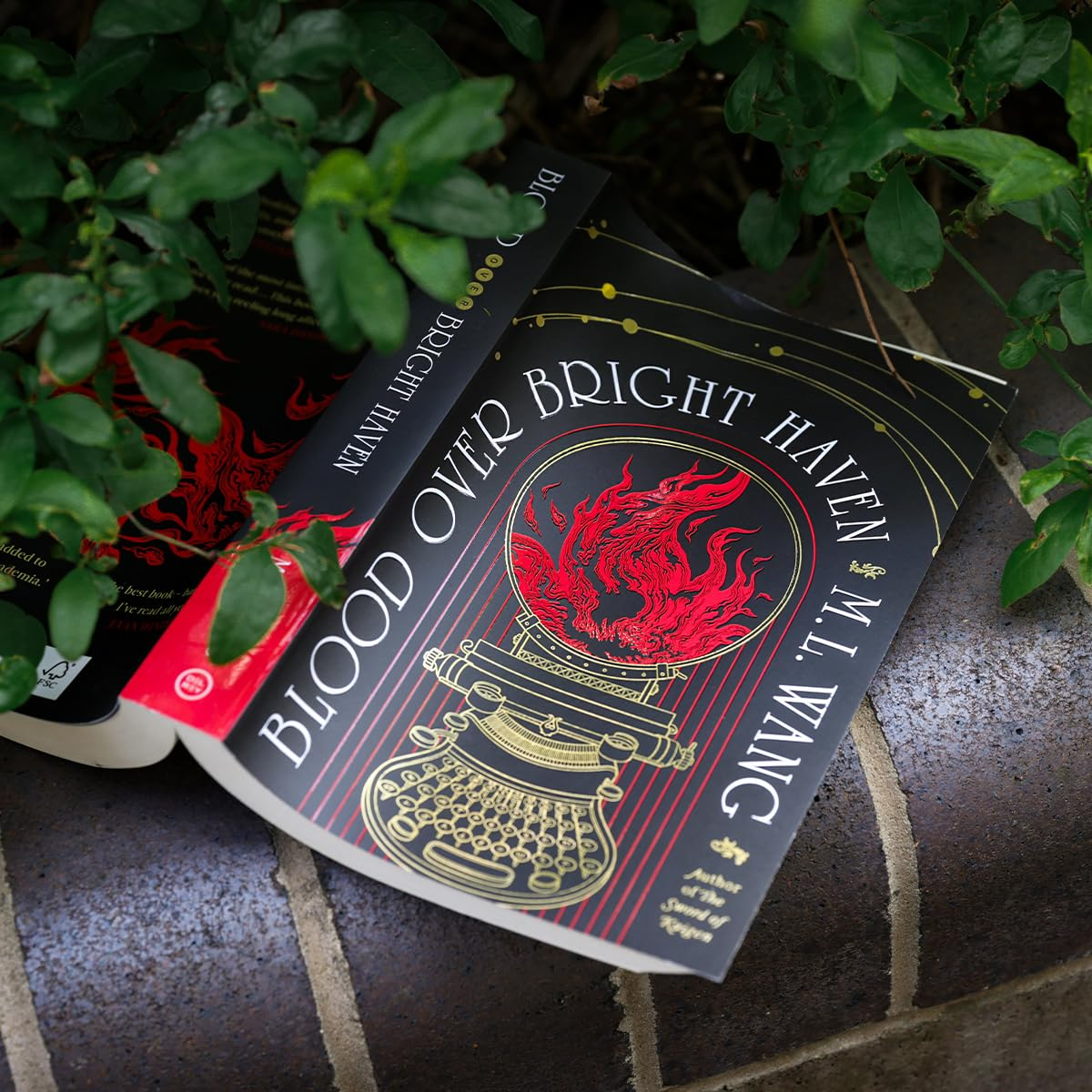 Blood over Bright Haven: the Must-Read New Dark Academia Fantasy from the Author of the Sword of Kaigen image number 2