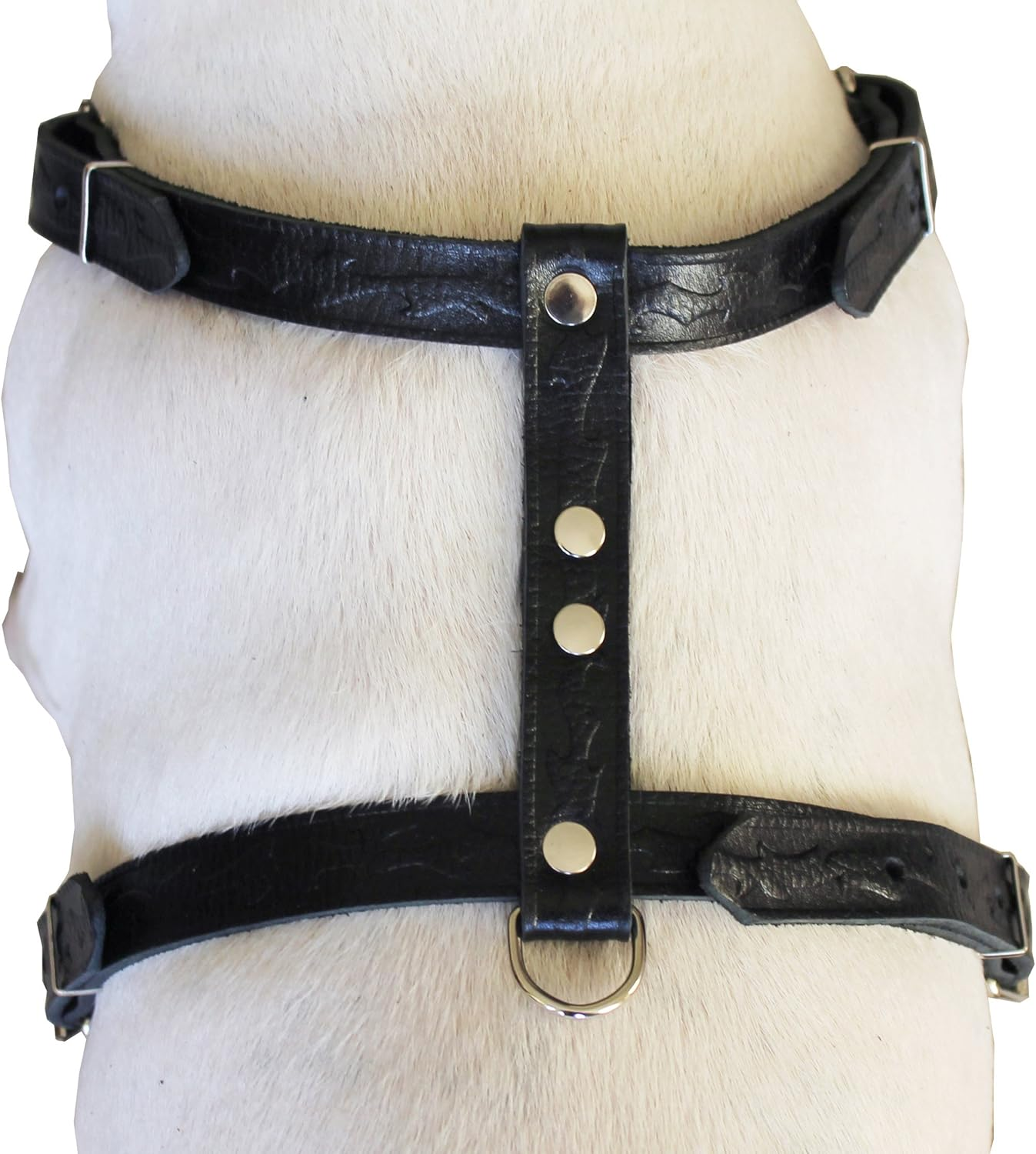 Genuine Tooled Leather Dog Harness Medium. 22-30 Chest 3/4 Wide Straps image number 3