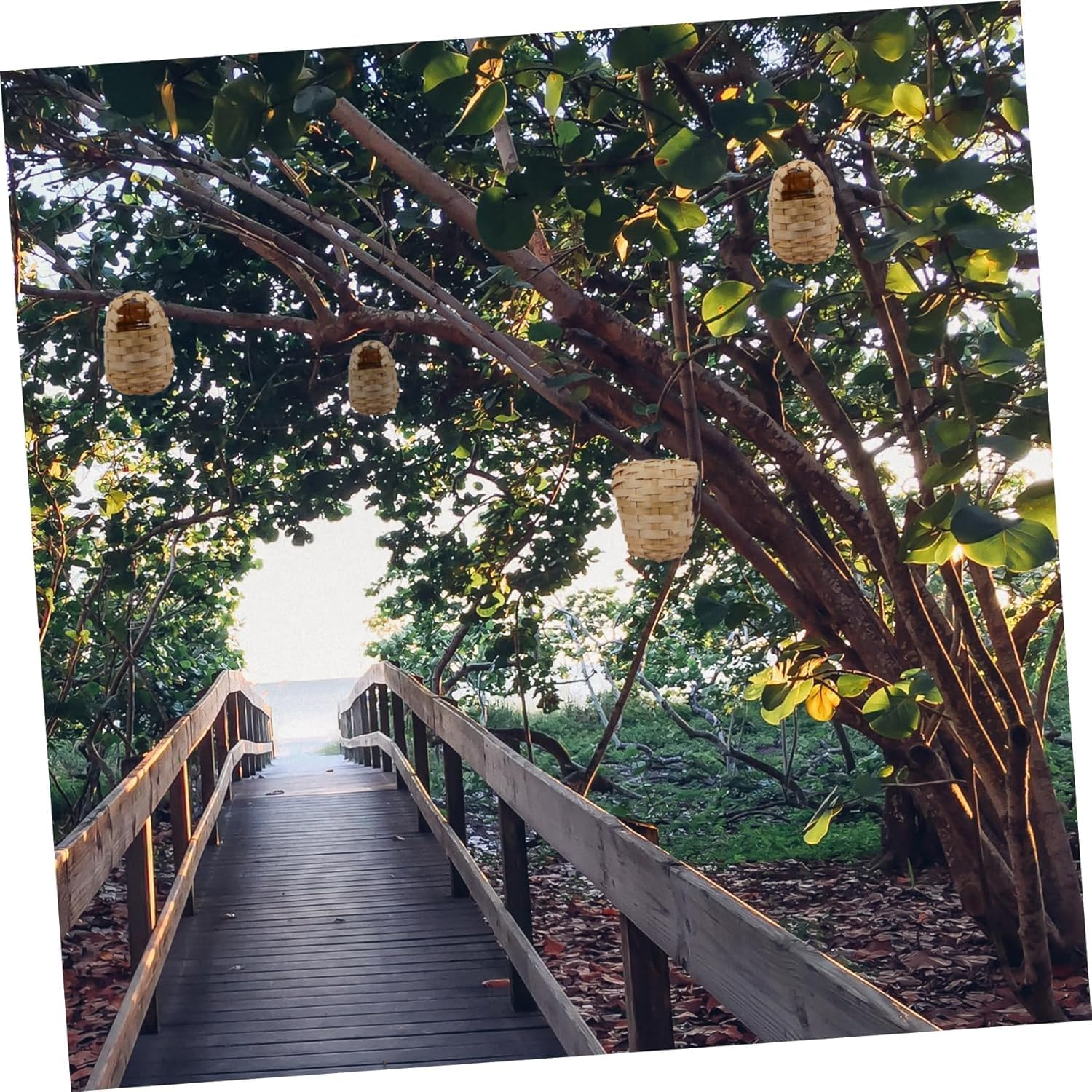 Limcryspp 6Pieces Handmade Bamboo Nest Resting Place, Bird House Creativity, Bird Nest Swallow Weaving, Bird House Grass Bird House Hand-Woven Bird Garden, Bird House image number 3