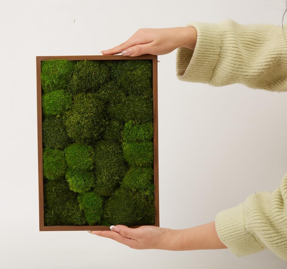 Prefleur 2 Color Mix Pack Preserved Pole Moss Pillow Bun Cushion Natural DIY Kit Art Wall Decor Florist Easter Table Wedding (1.5 Sq.Ft, Green-A, Green-B) image number 3