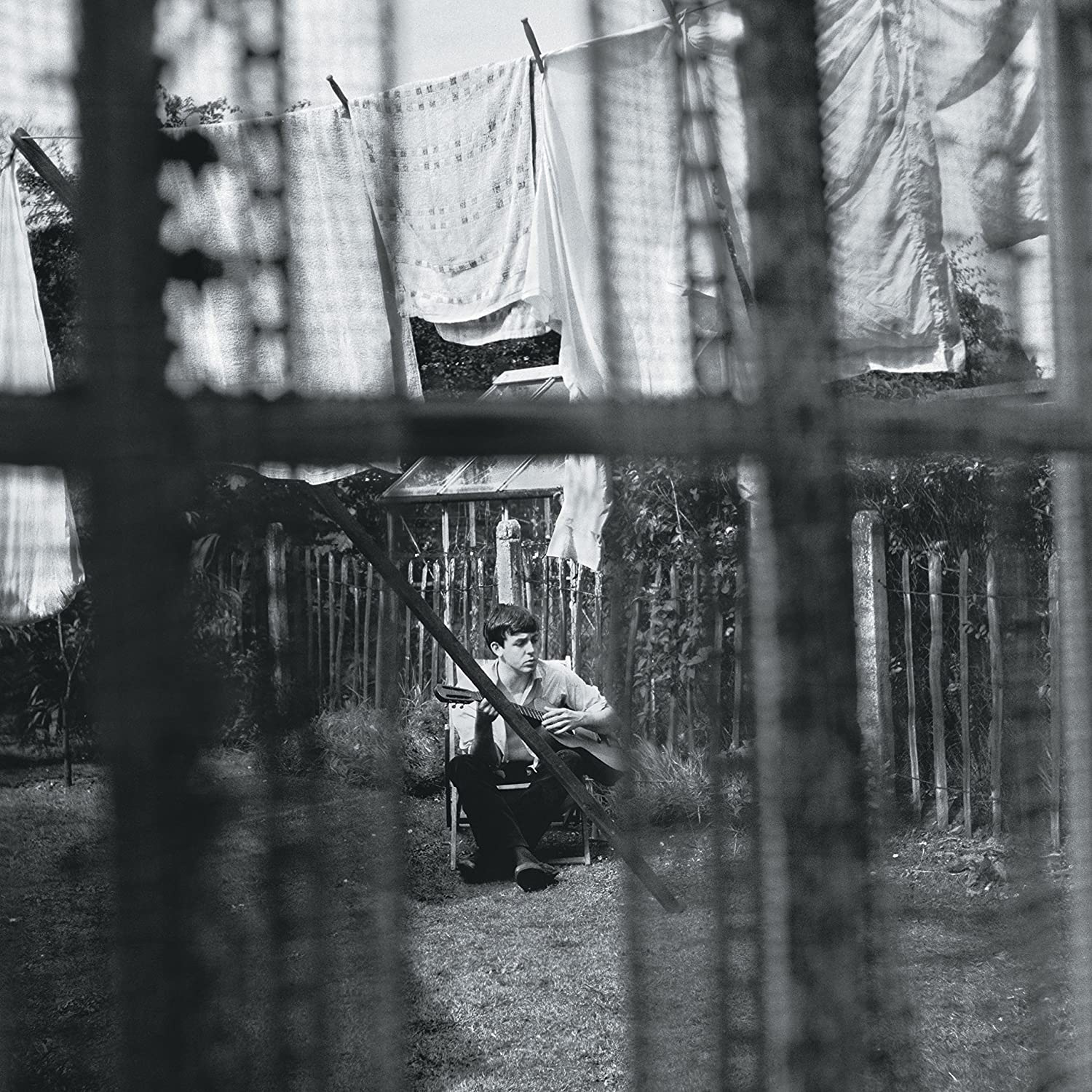 Chaos and Creation in the Backyard image number 2