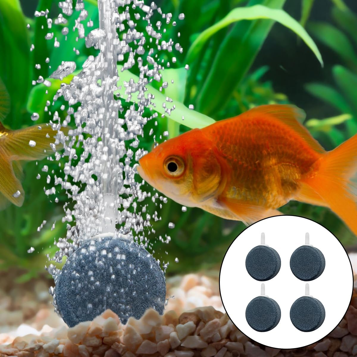 WELANE Oxygen Aerator Stone, 2 PCS Gray round Air Stone Diffuser Fish Tank Accessories for Small Buckets, Fish Tanks, Outdoor Garden (4 X 1.5Cm/1.5 X 0.5In) image number 6